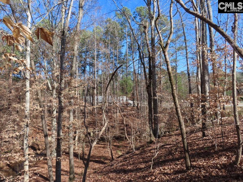 637 Cook Road Ridgeway, SC 29130 - Photo 29 of 51