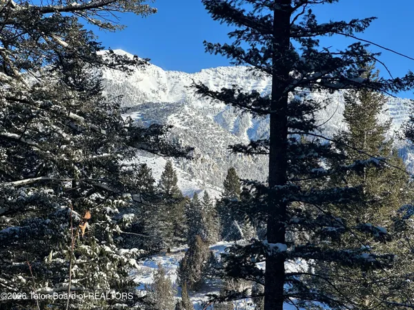 $159,000 | L35-b4 Cutthroat Run, Irwin, ID 83428