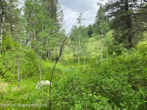 $159,000 | L35-b4 Cutthroat Run, Irwin, ID 83428