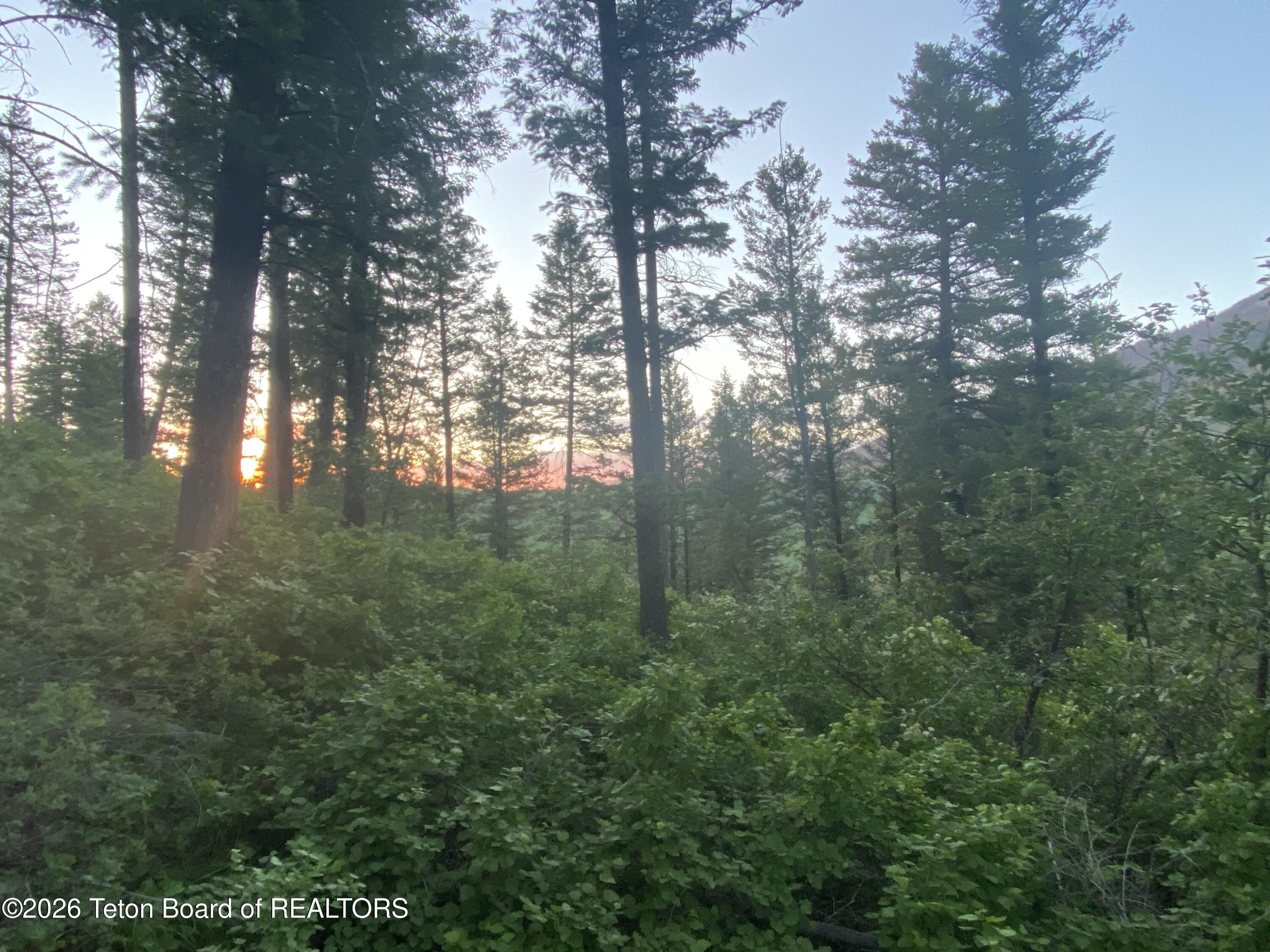 L35-b4 Cutthroat Run Irwin, ID 83428 - Photo 8 of 14 IMG_9507