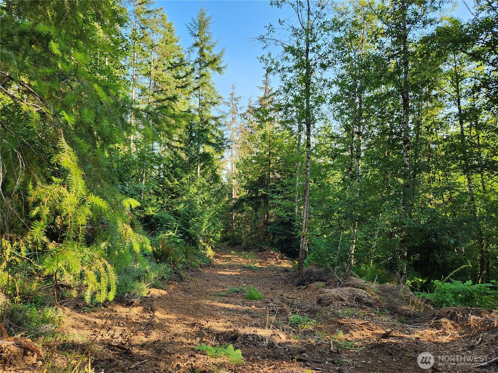 0 Rocky Brook Road, Unit LOT I Brinnon, WA 98320 - Photo 7 of 9 a big yard with lots of green space
