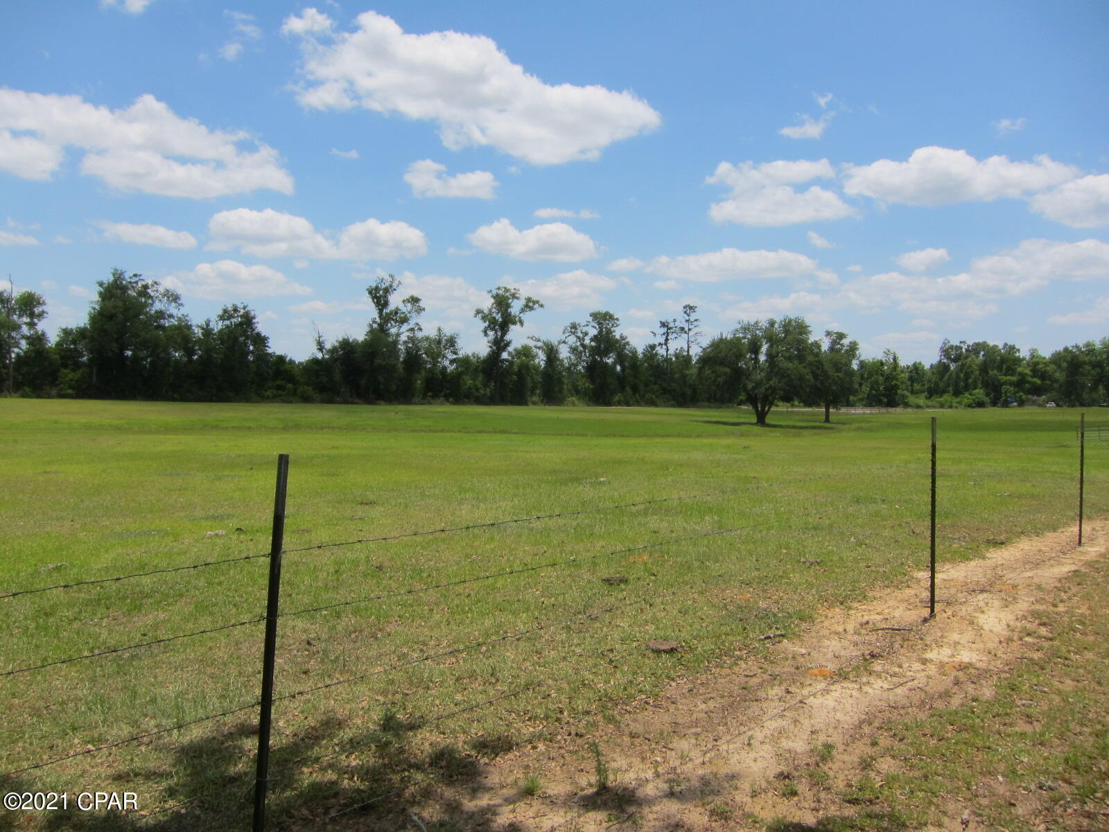 4575 Thompson Road Marianna, FL 32448 - Photo 5 of 6