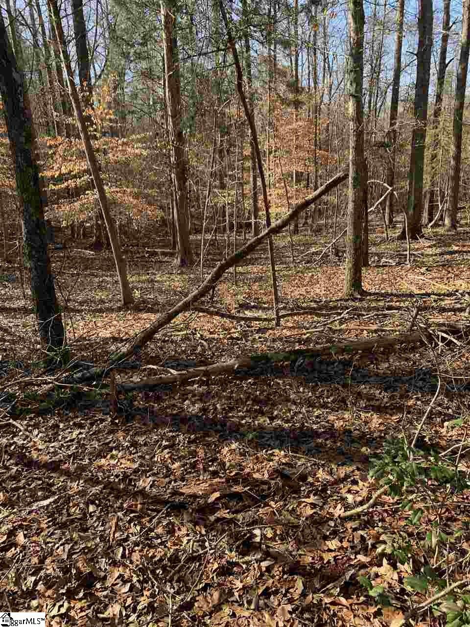 0 Fountain Inn Road Woodruff, SC 29388 - Photo 4 of 6