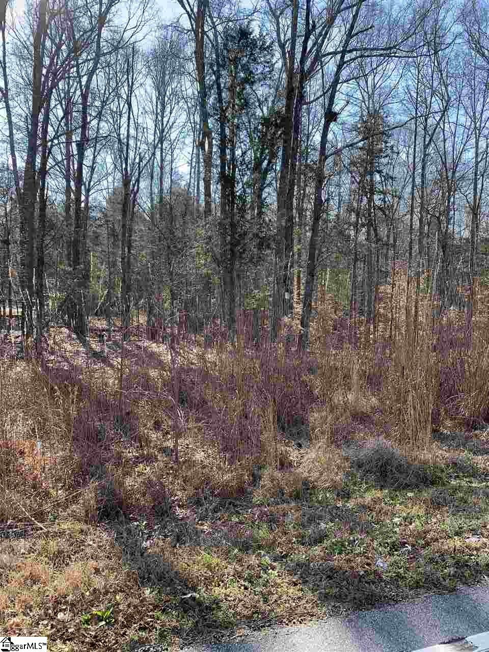 0 Fountain Inn Road Woodruff, SC 29388 - Photo 5 of 6