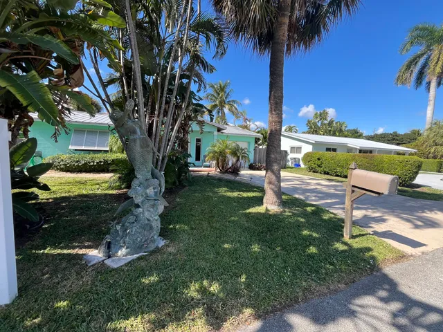 a view of a yard with plants