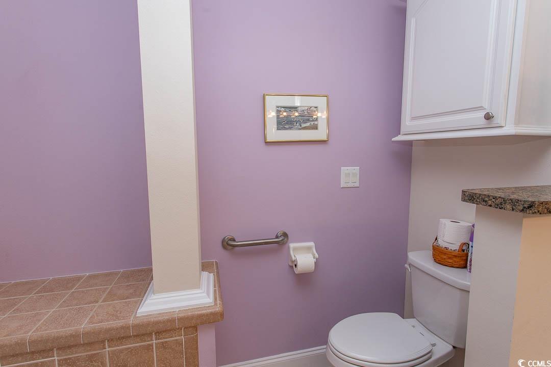 177 Wellspring Drive Conway, SC 29526 - Photo 28 of 40