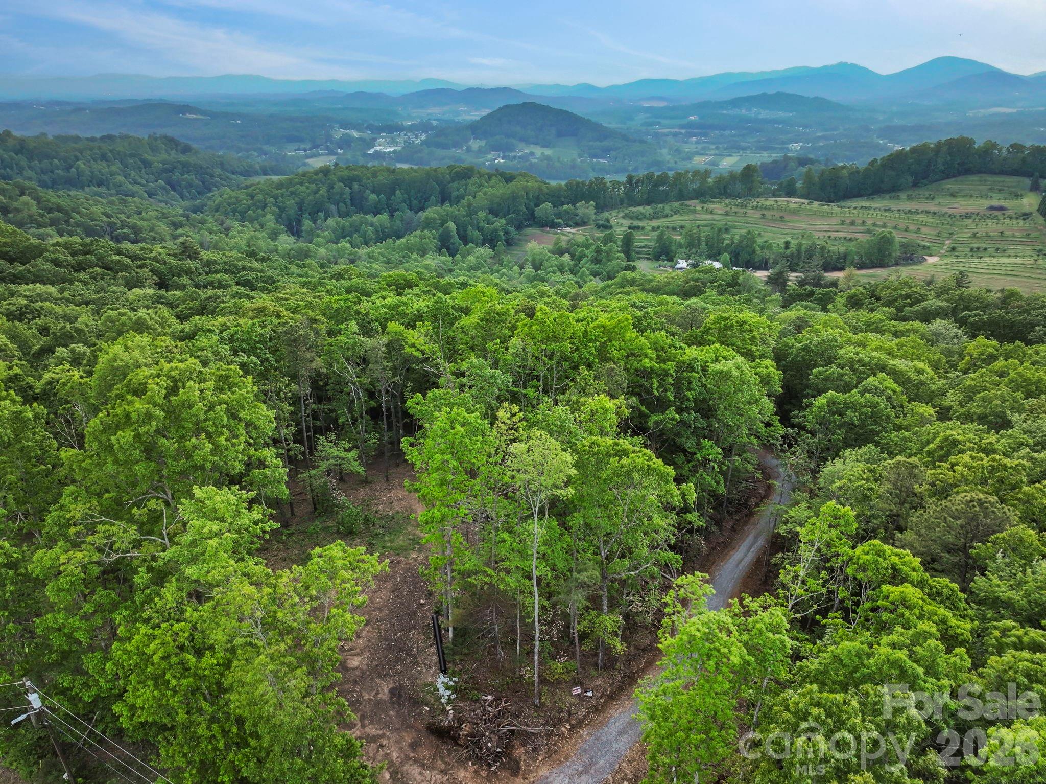 0 John Delk Road, Unit 3 Hendersonville, NC 28792 - Photo 19 of 25 an aerial view of green landscape with trees houses and mountain view