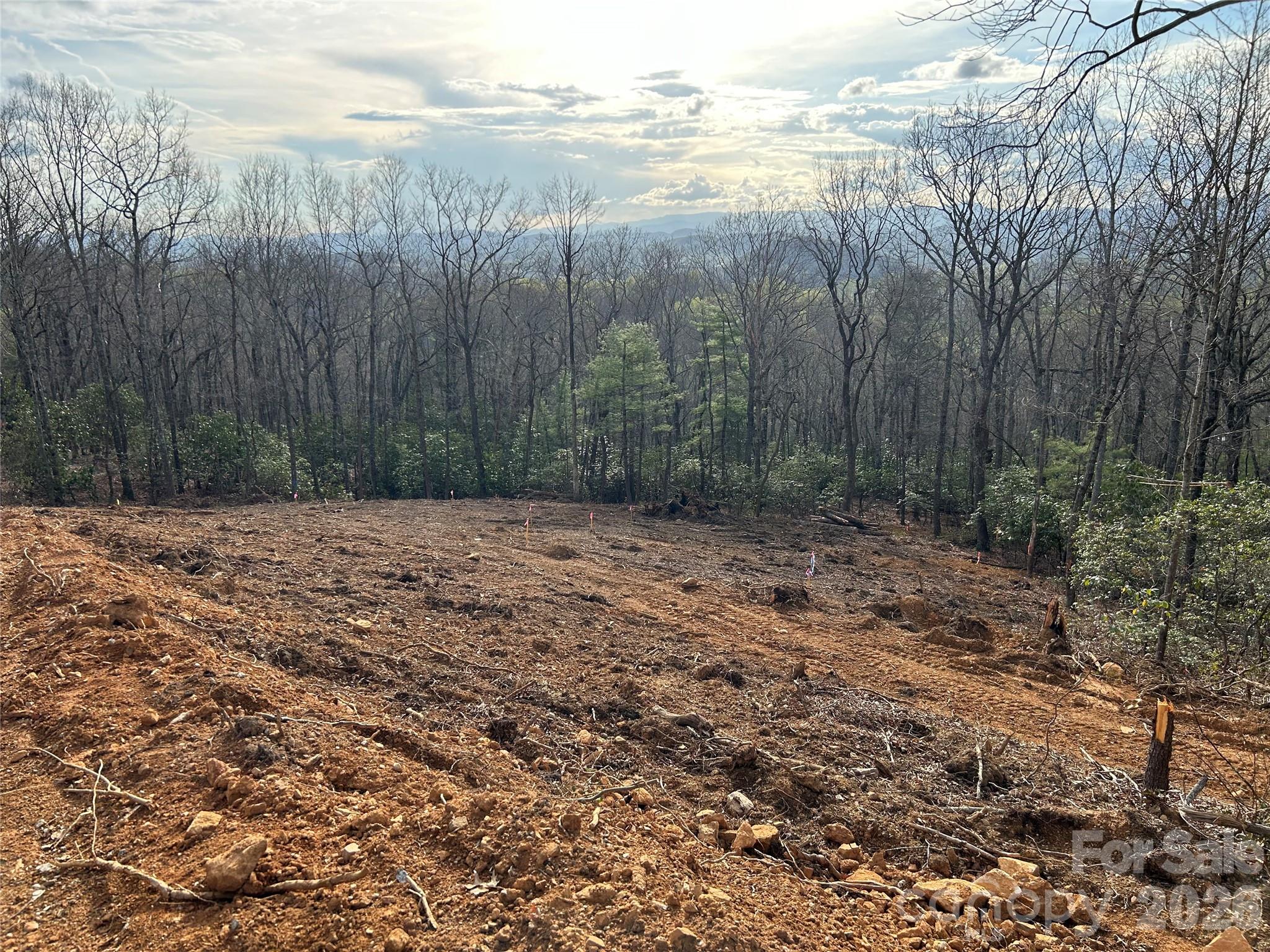 0 John Delk Road, Unit 3 Hendersonville, NC 28792 - Photo 2 of 25 a view of a yard with trees and stairs