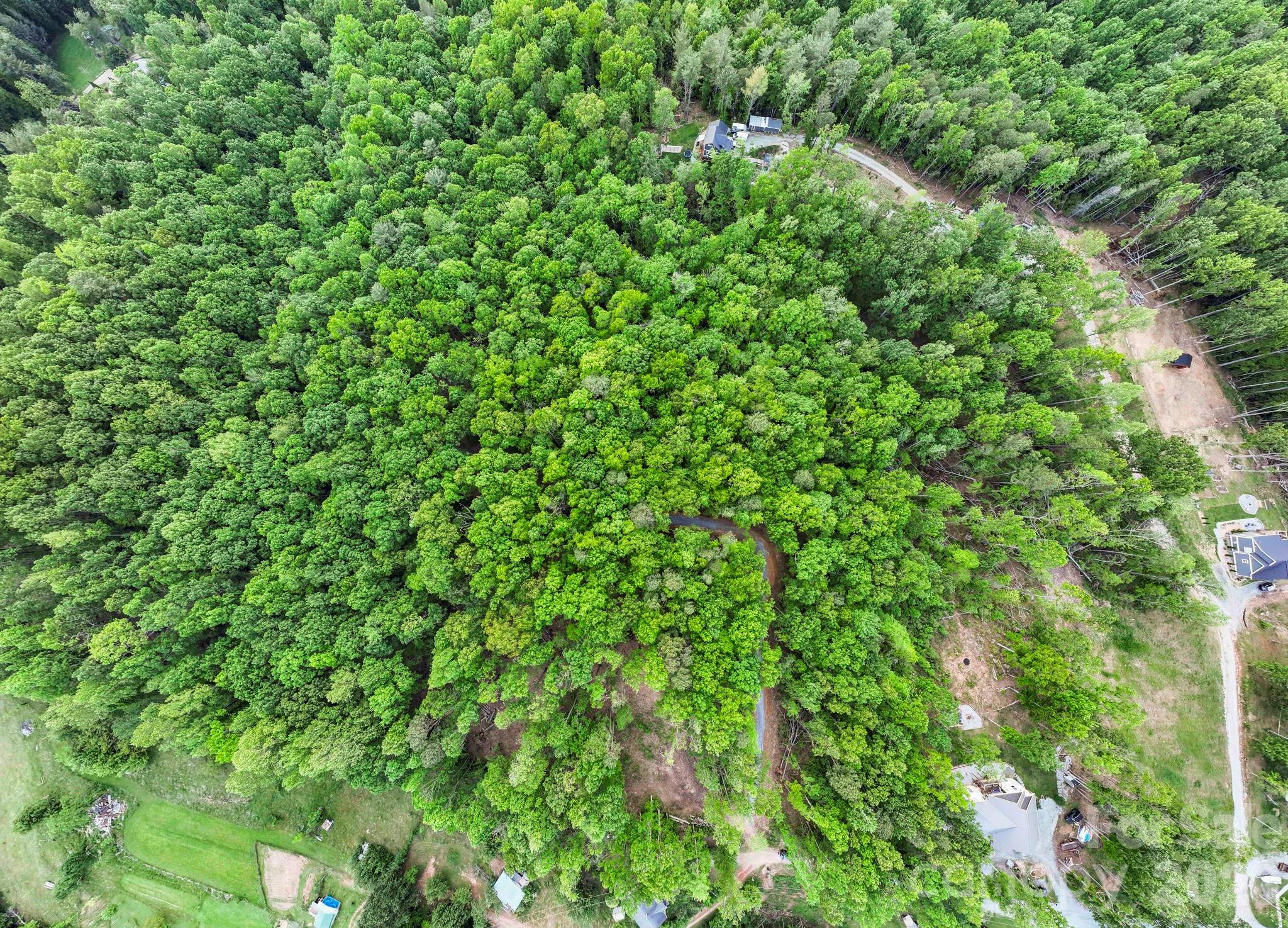 0 John Delk Road, Unit 3 Hendersonville, NC 28792 - Photo 21 of 25 a view of a lush green forest with a tree