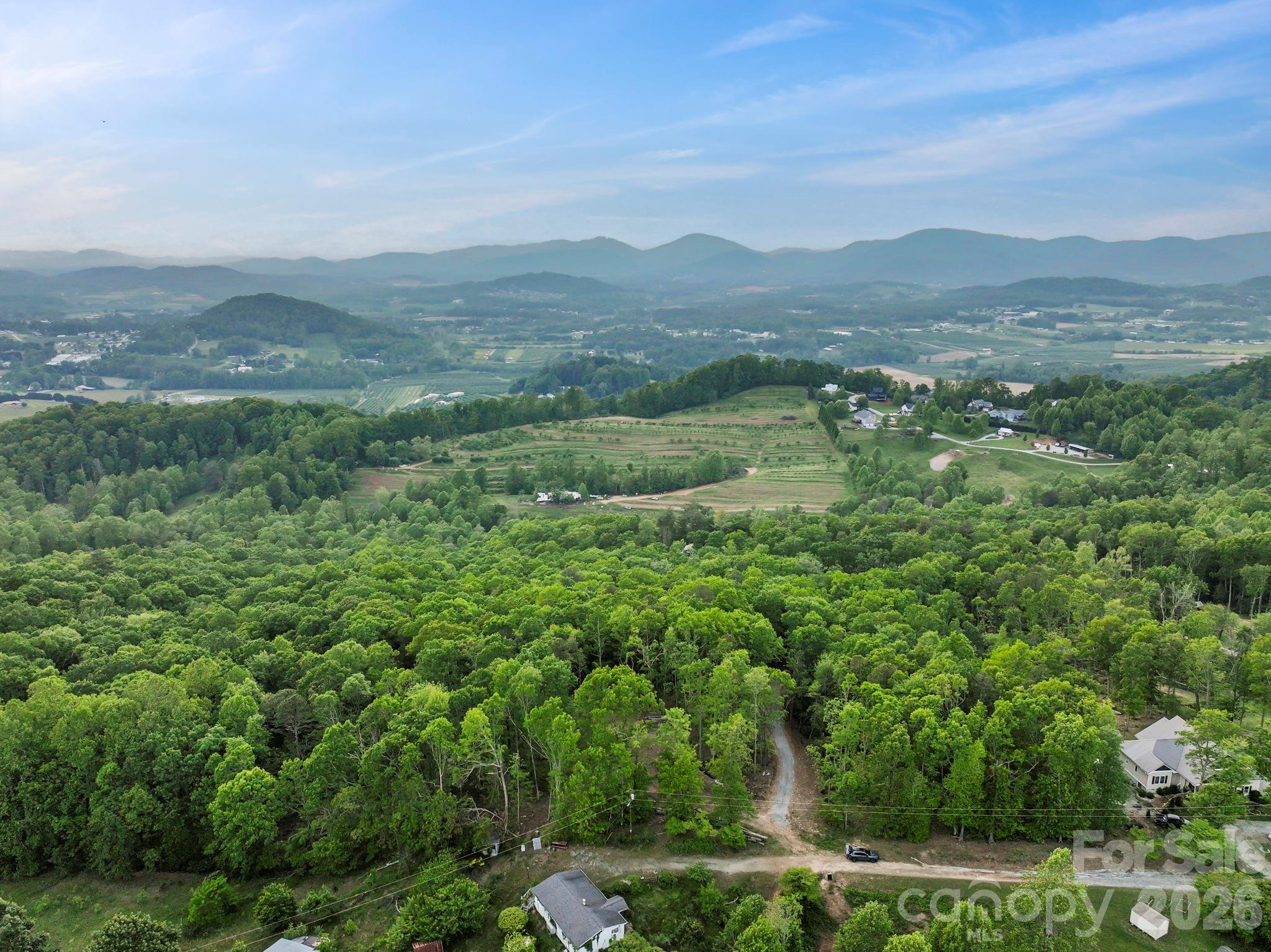 0 John Delk Road, Unit 3 Hendersonville, NC 28792 - Photo 22 of 25 a view of a lush green hillside and houses