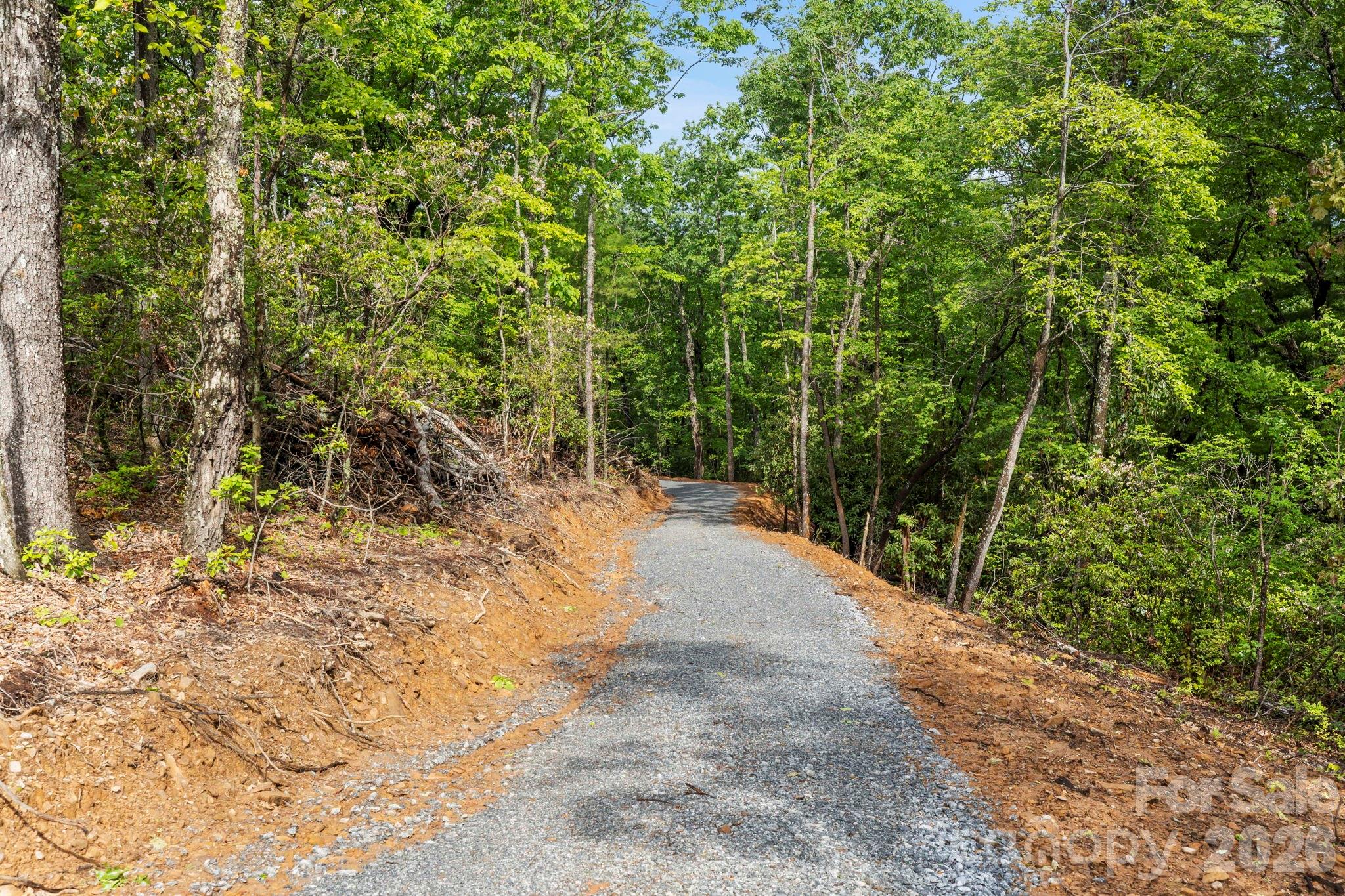 0 John Delk Road, Unit 3 Hendersonville, NC 28792 - Photo 25 of 25 a view of a pathway both side of yard