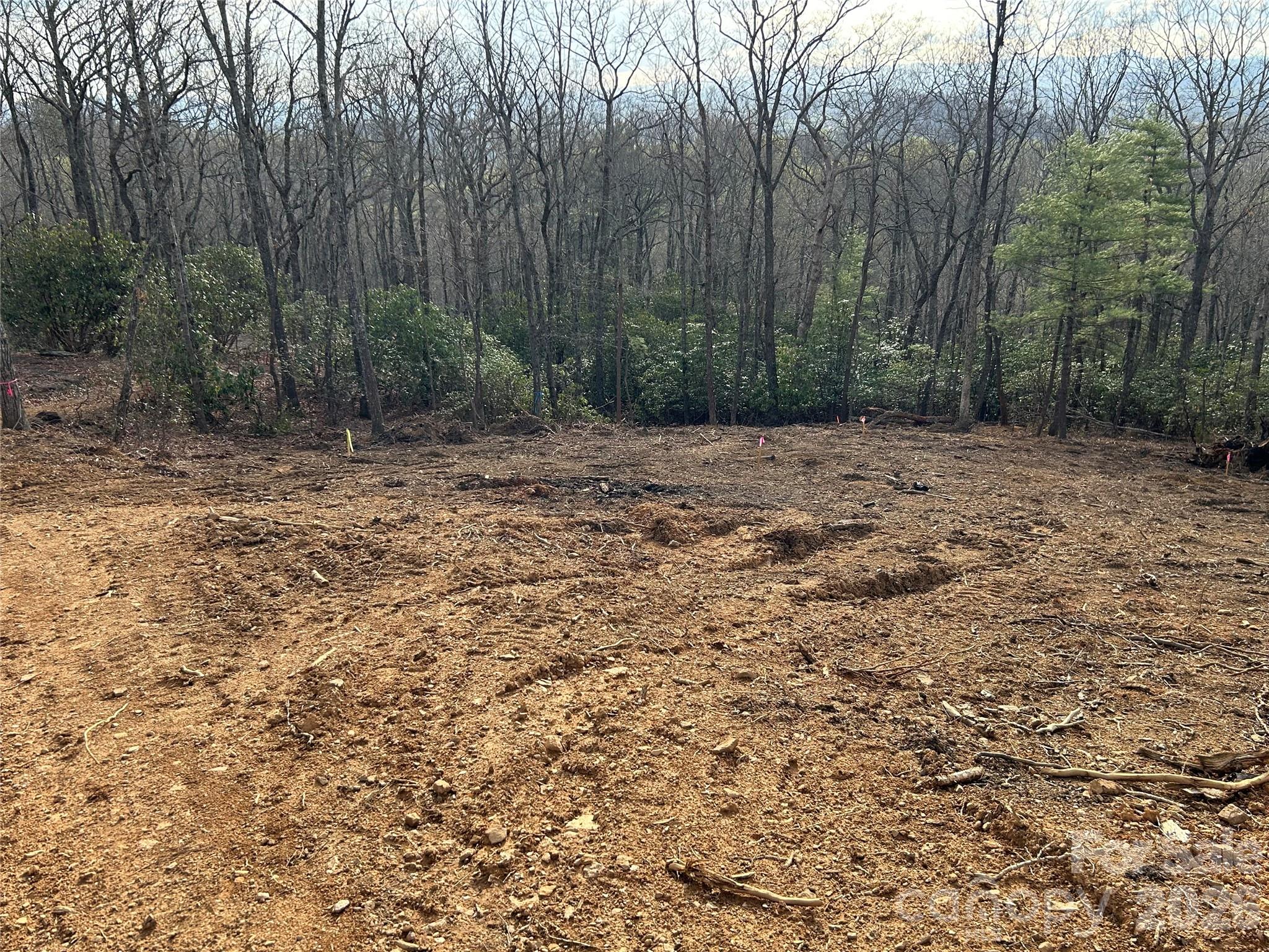 0 John Delk Road, Unit 3 Hendersonville, NC 28792 - Photo 3 of 25 a view of a yard with trees in the background