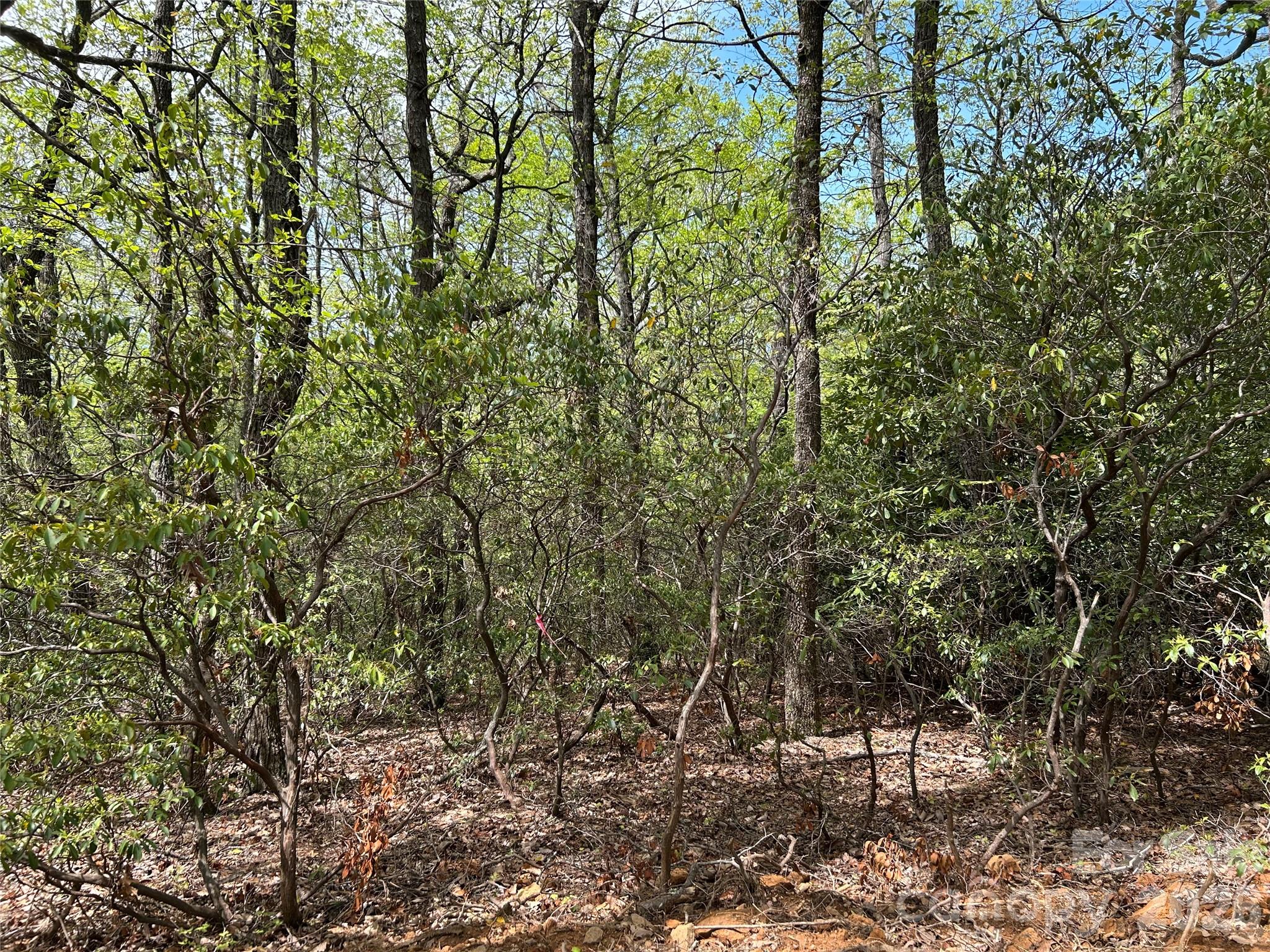 0 John Delk Road, Unit 3 Hendersonville, NC 28792 - Photo 4 of 25