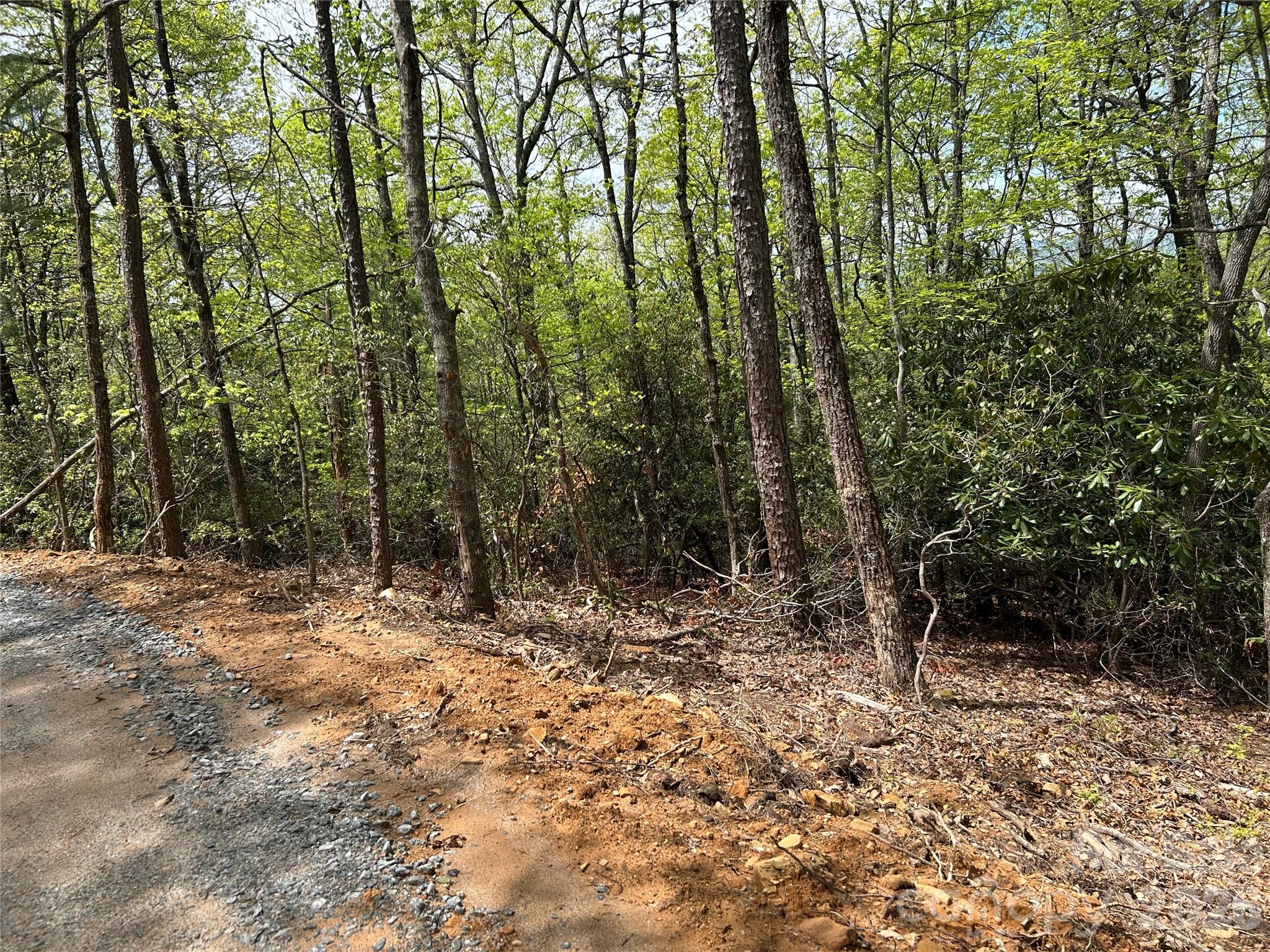 0 John Delk Road, Unit 3 Hendersonville, NC 28792 - Photo 5 of 25 a view of outdoor space and trees