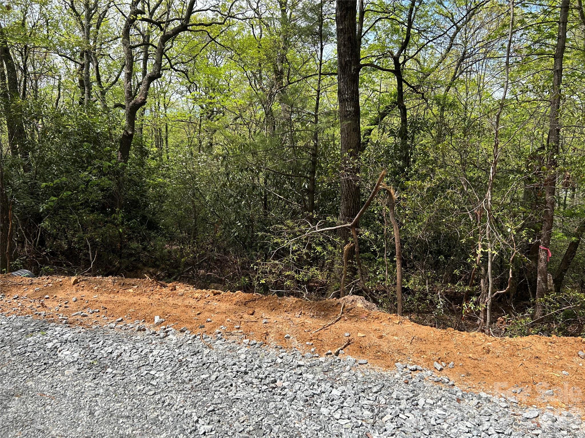 0 John Delk Road, Unit 3 Hendersonville, NC 28792 - Photo 6 of 25 a view of a yard covered in snow