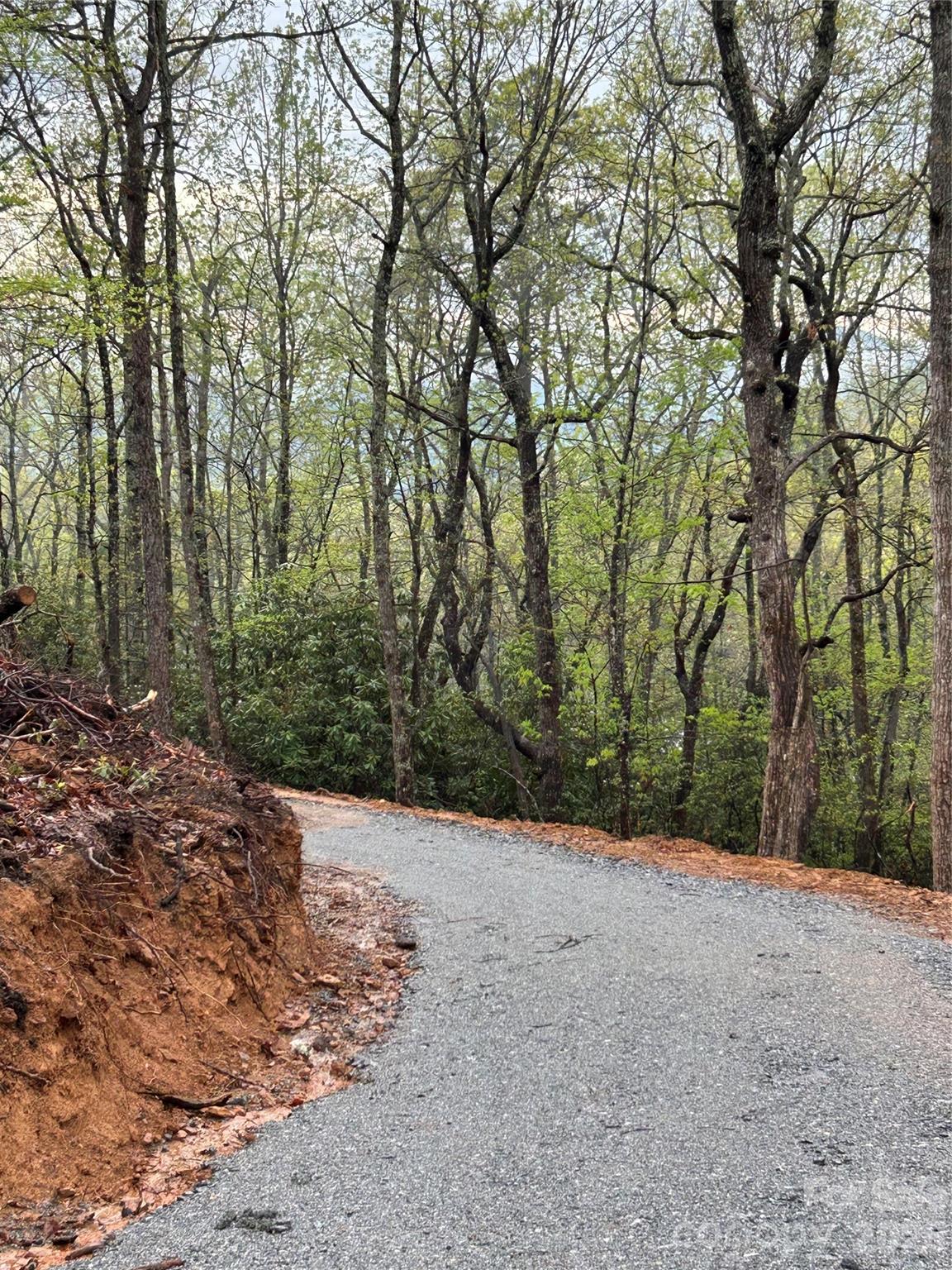 0 John Delk Road, Unit 3 Hendersonville, NC 28792 - Photo 7 of 25 a view of a backyard with large trees