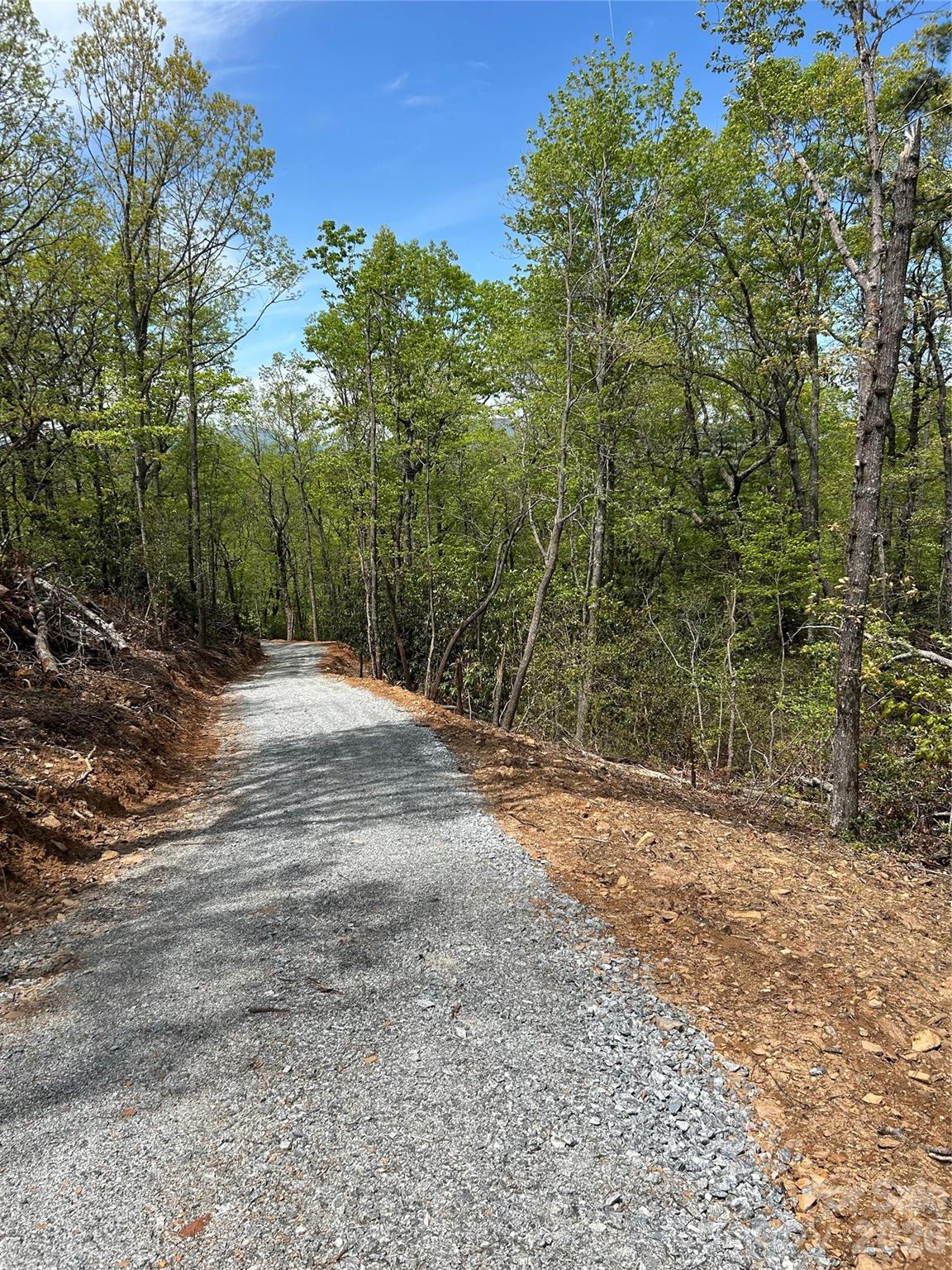 0 John Delk Road, Unit 3 Hendersonville, NC 28792 - Photo 9 of 25 a view of a dirt road with large trees