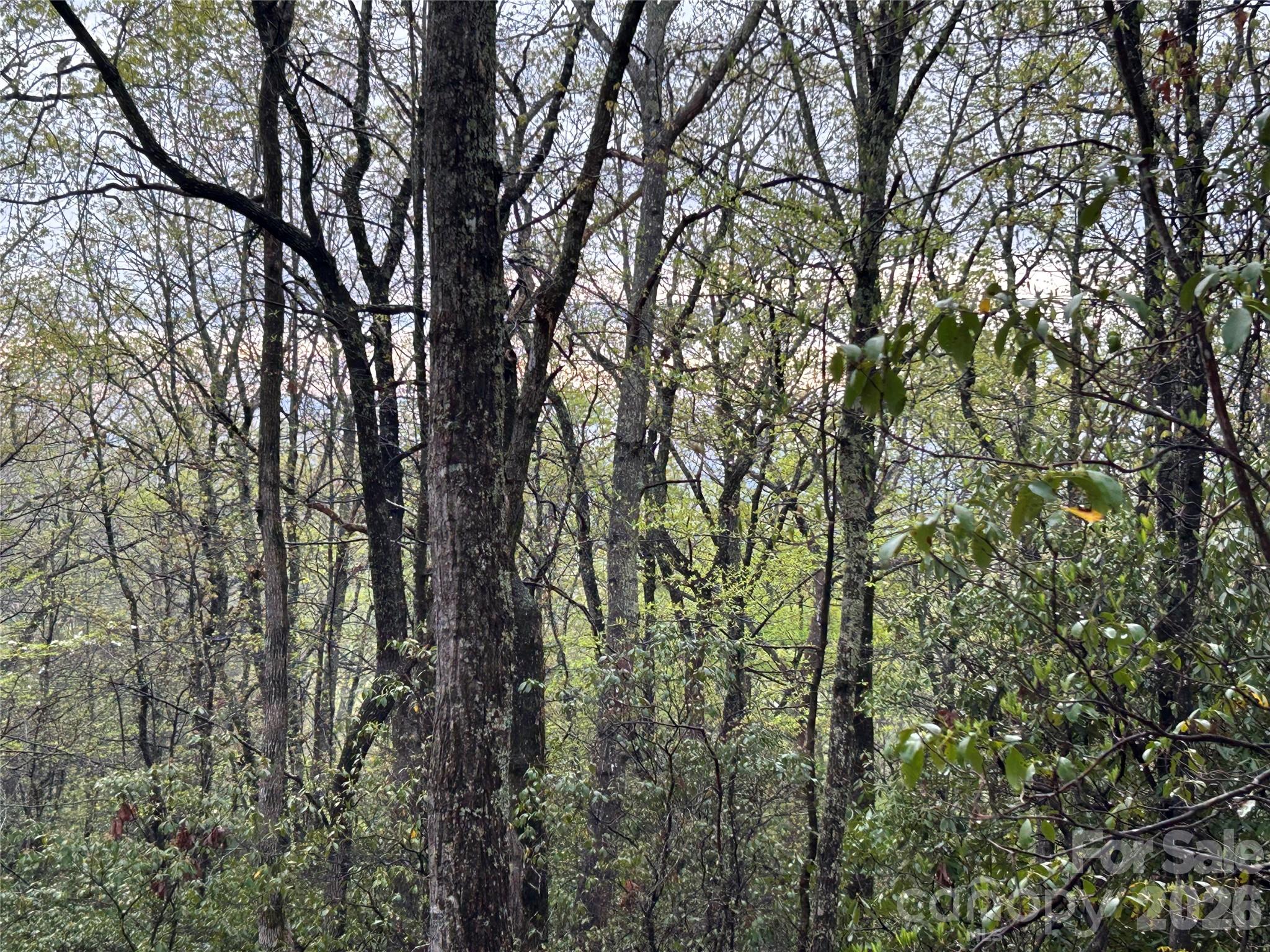 0 John Delk Road, Unit 3 Hendersonville, NC 28792 - Photo 10 of 25