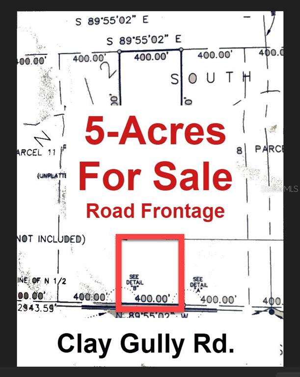 34305 Clay Gully Road Myakka City, FL 34251 - Photo 3 of 3