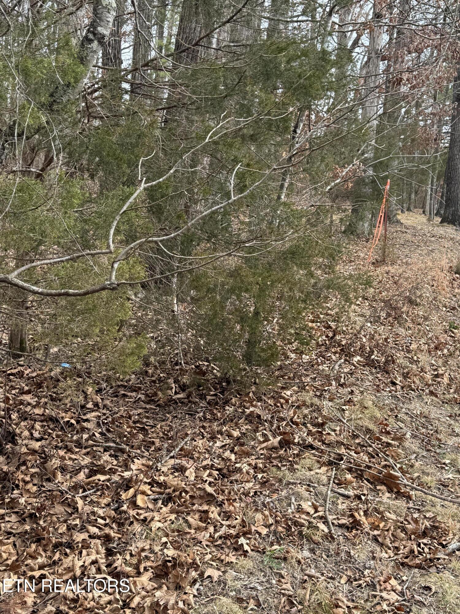 833 Ritchey Road Loudon, TN 37774 - Photo 2 of 5 IMG_3583