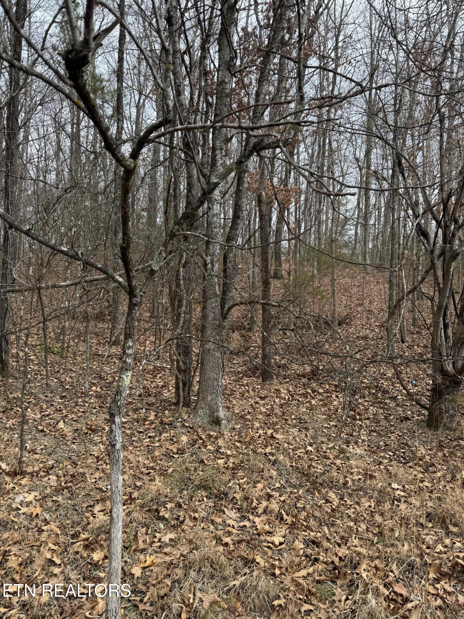 833 Ritchey Road Loudon, TN 37774 - Photo 5 of 5 IMG_3582