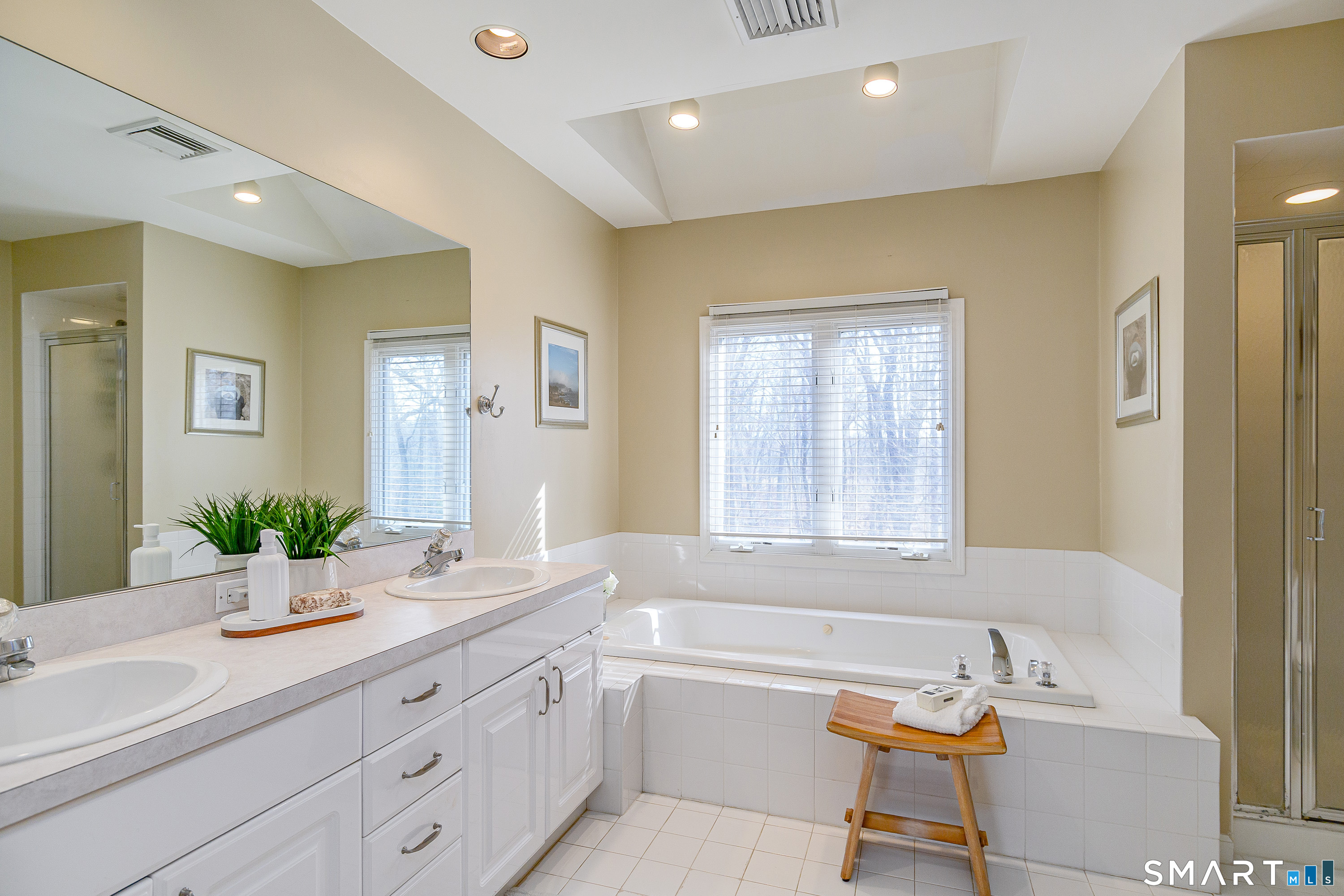 20 Charter Ridge Drive Newtown, CT 06482 - Photo 22 of 40 Primary bathroom with double sinks, tub and shower and plenty of natural light.