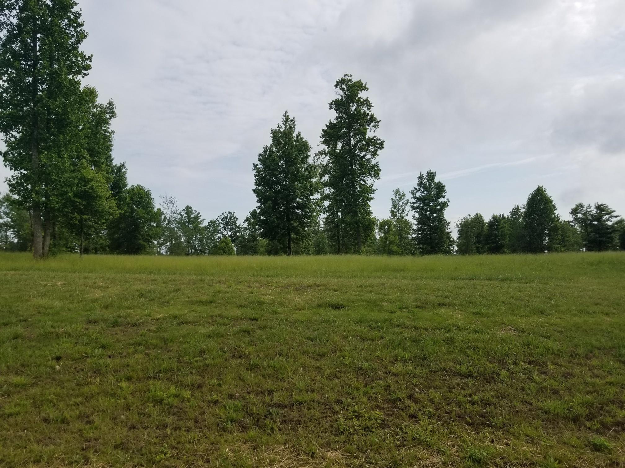 Lot 158 Raulston Falls Road, Unit 158 Jasper, TN 37347 - Photo 1 of 10 20180530_173313_resized