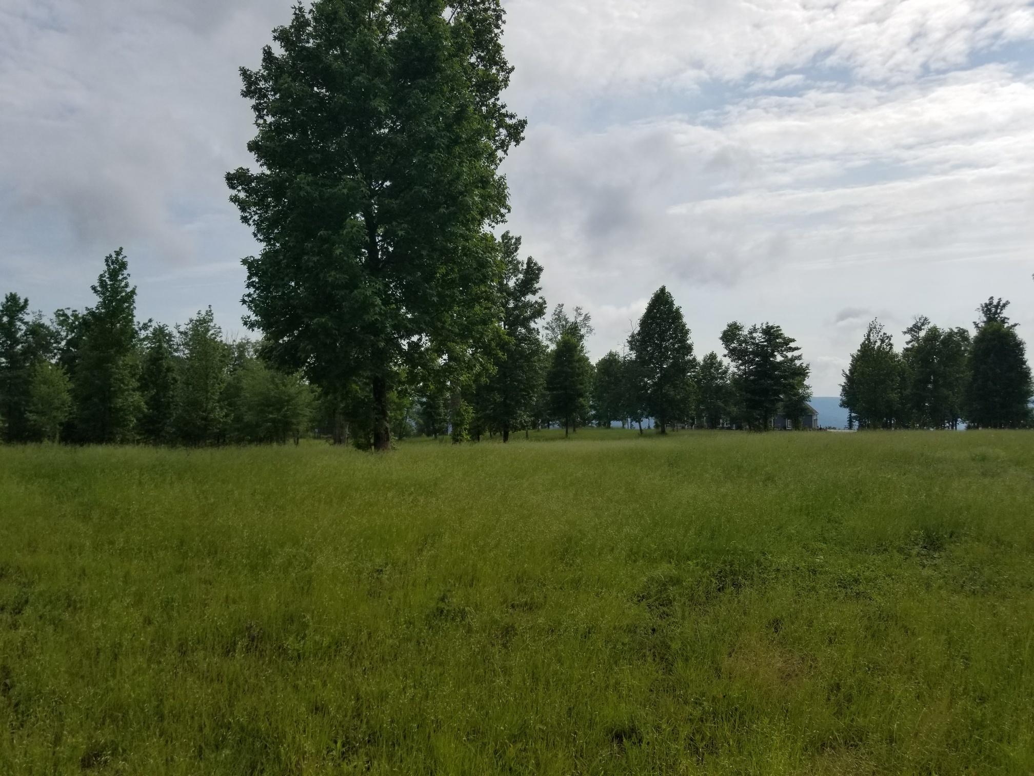 Lot 158 Raulston Falls Road, Unit 158 Jasper, TN 37347 - Photo 5 of 10 20180530_173349_resized