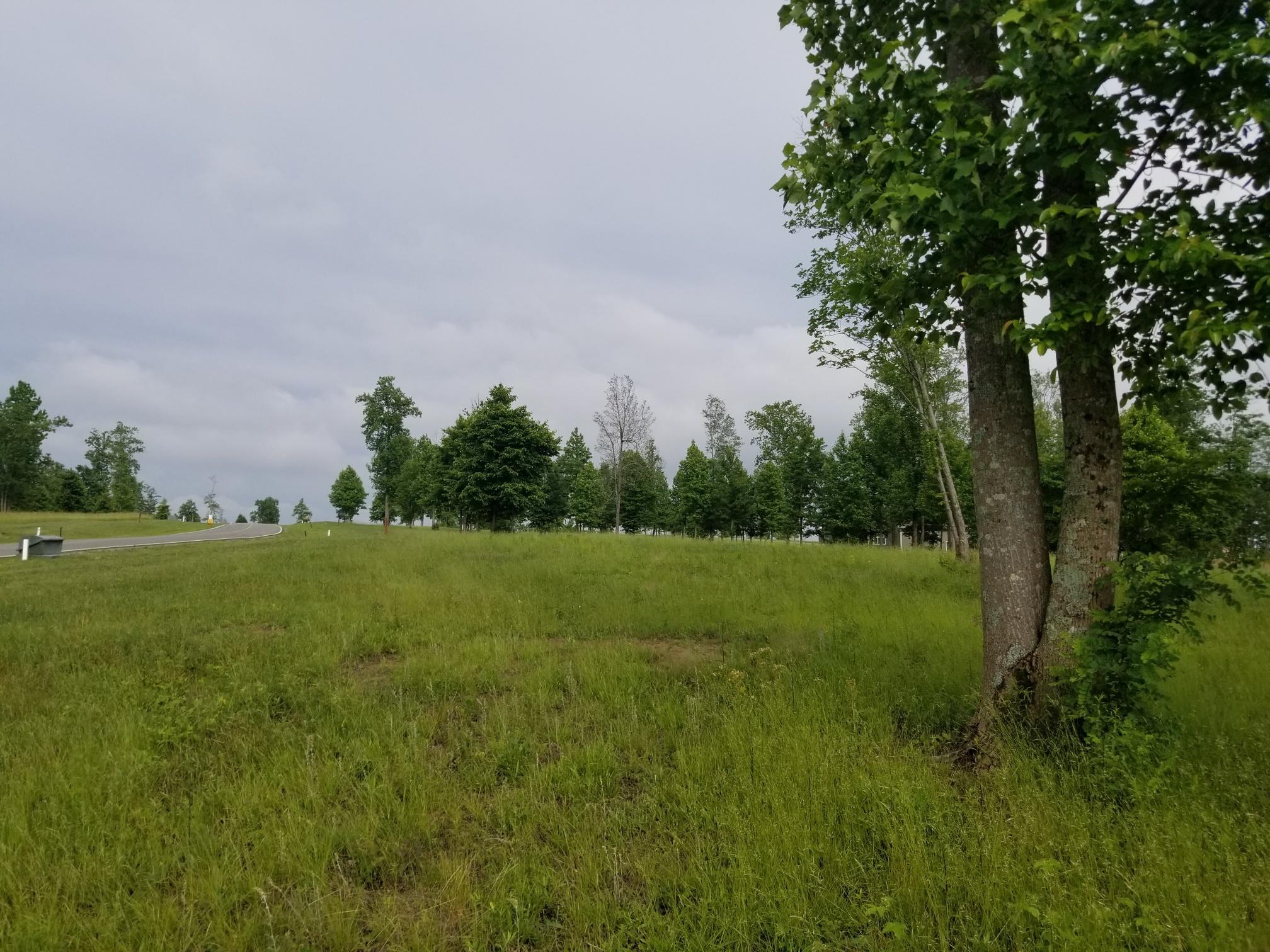 Lot 158 Raulston Falls Road, Unit 158 Jasper, TN 37347 - Photo 8 of 10 20180530_173354_resized