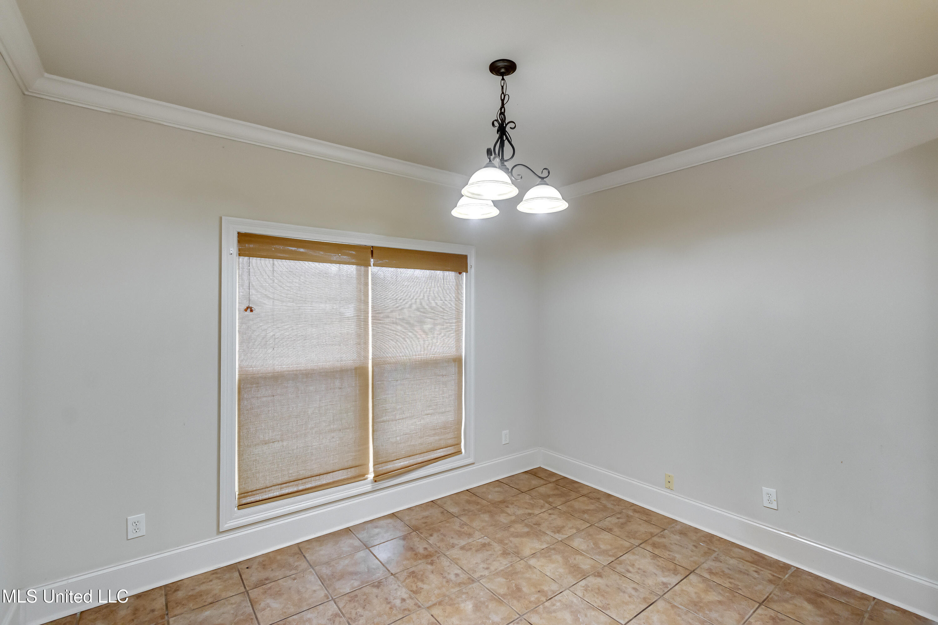 537 Turtle Lane Brandon, MS 39047 - Photo 15 of 43 537 Turtle Ln-28