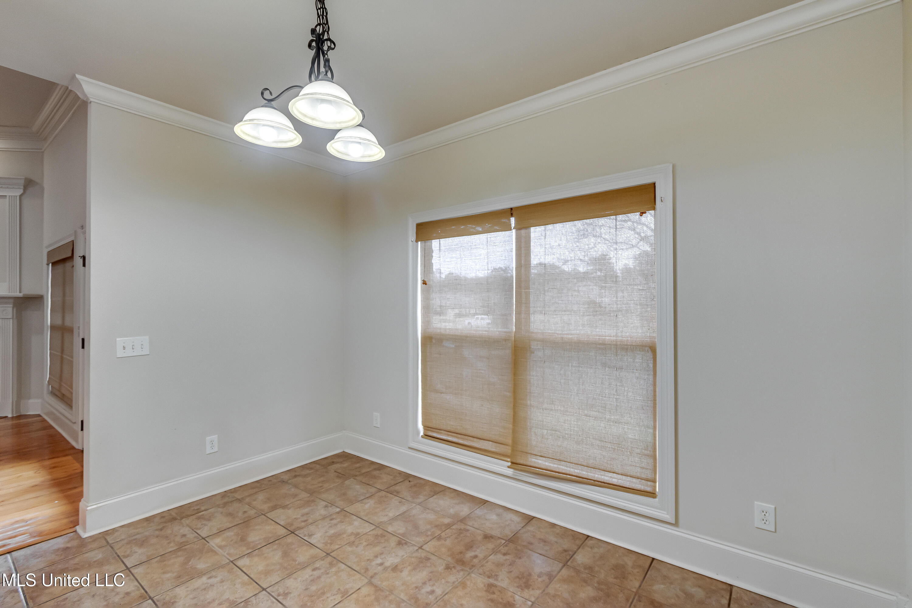 537 Turtle Lane Brandon, MS 39047 - Photo 16 of 43 537 Turtle Ln-29