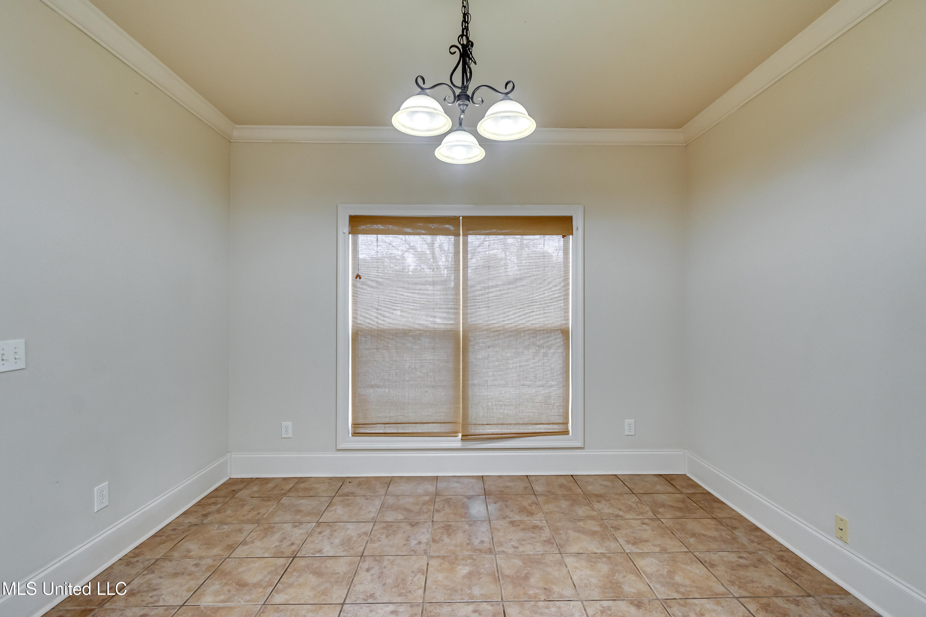 537 Turtle Lane Brandon, MS 39047 - Photo 23 of 43 537 Turtle Ln-36