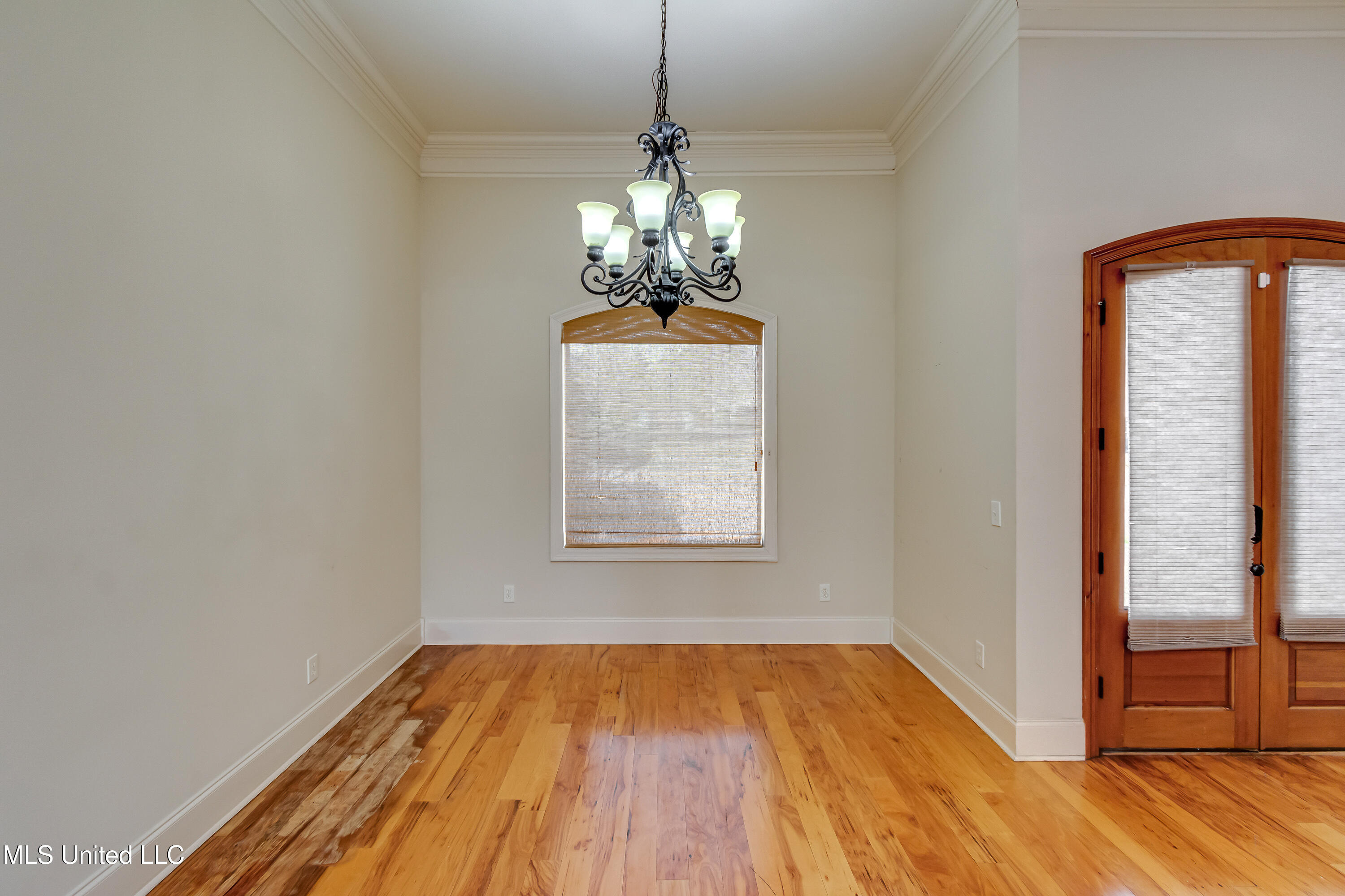 537 Turtle Lane Brandon, MS 39047 - Photo 8 of 43 537 Turtle Ln-19