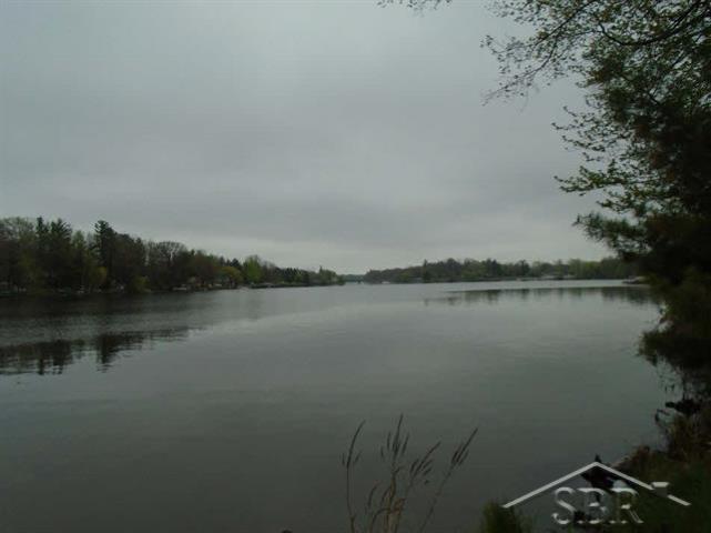 Vl Oakridge Road Beaverton, MI 48612 - Photo 6 of 7