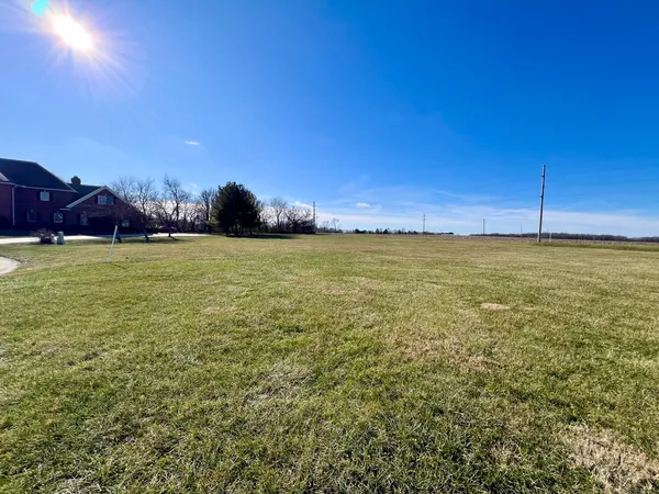a view of a large body of water with a large tree
