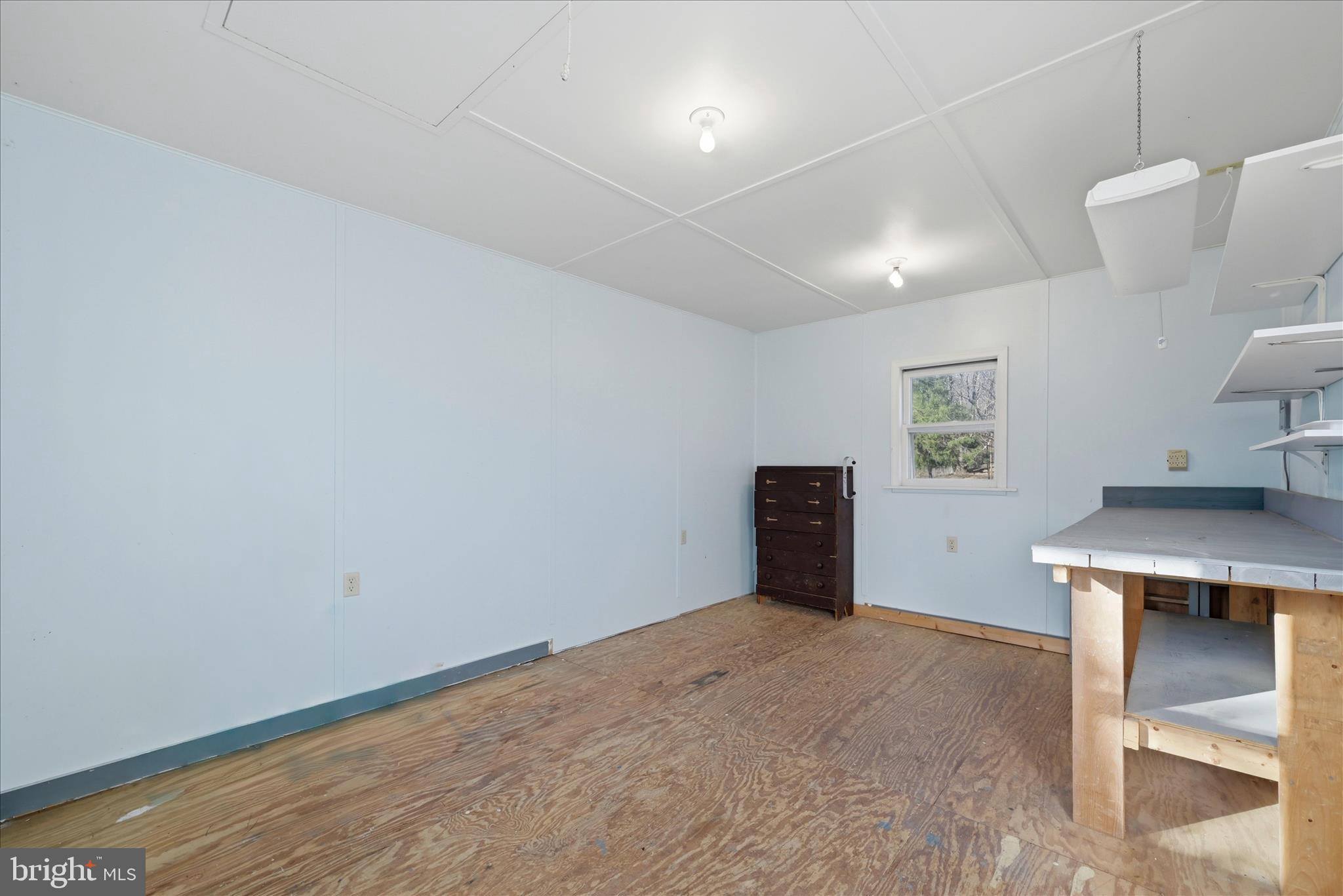 467 Ruebuck Road Clear Brook, VA 22624 - Photo 23 of 31 Shed Interior