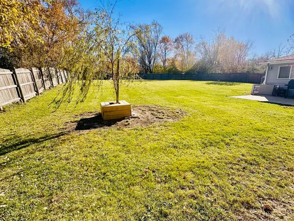 a view of yard with large trees