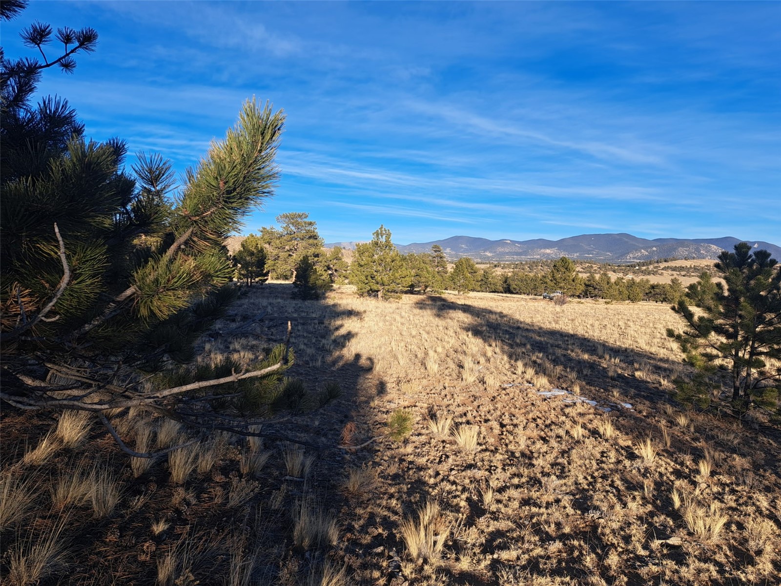 186 Boulder Road Hartsel, CO 80449 - Photo 30 of 33 Gallery Image 30