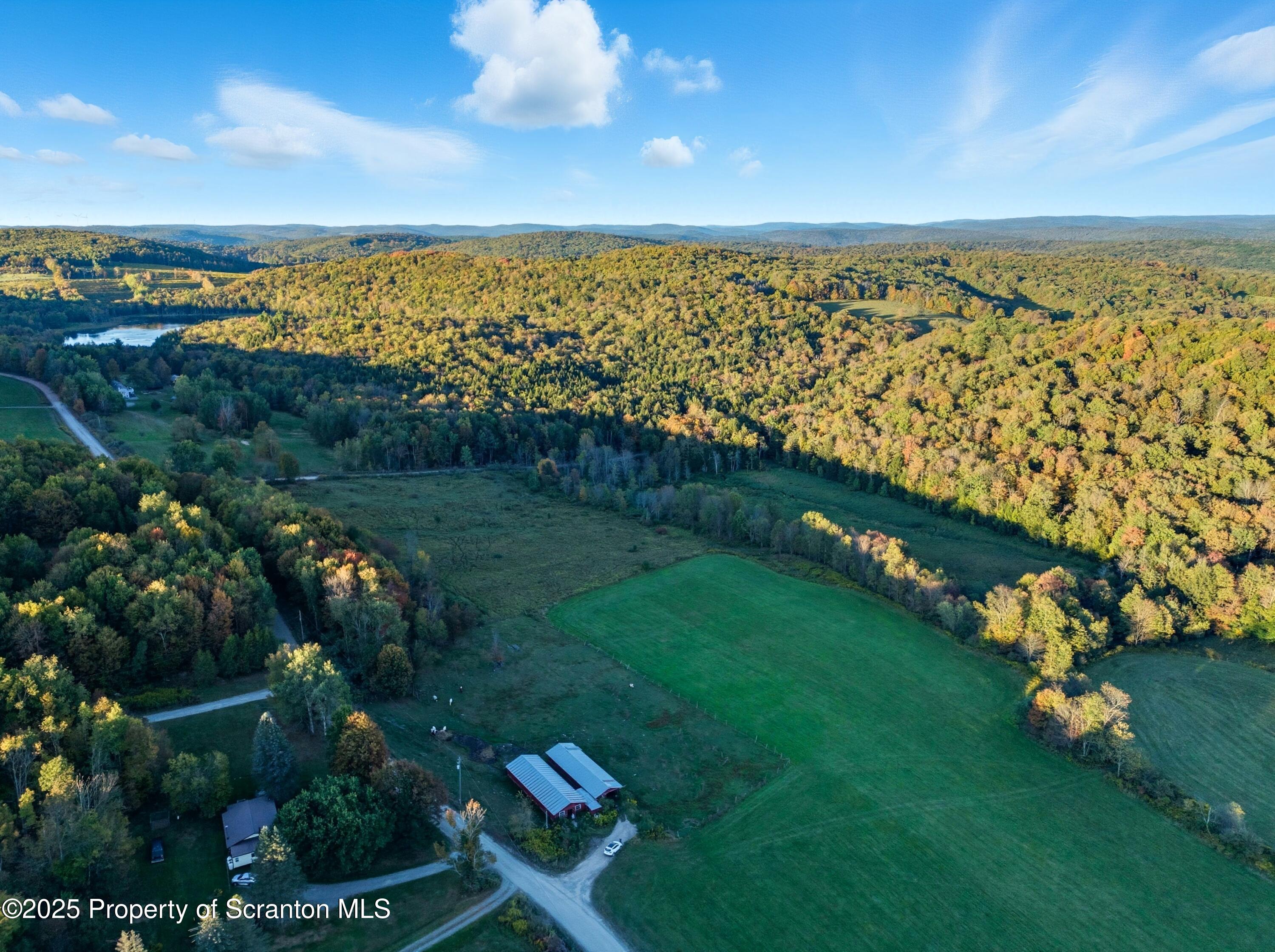 0 Harris Road Susquehanna, PA 18847 - Photo 15 of 21 DJI_20250919182106_0058_D