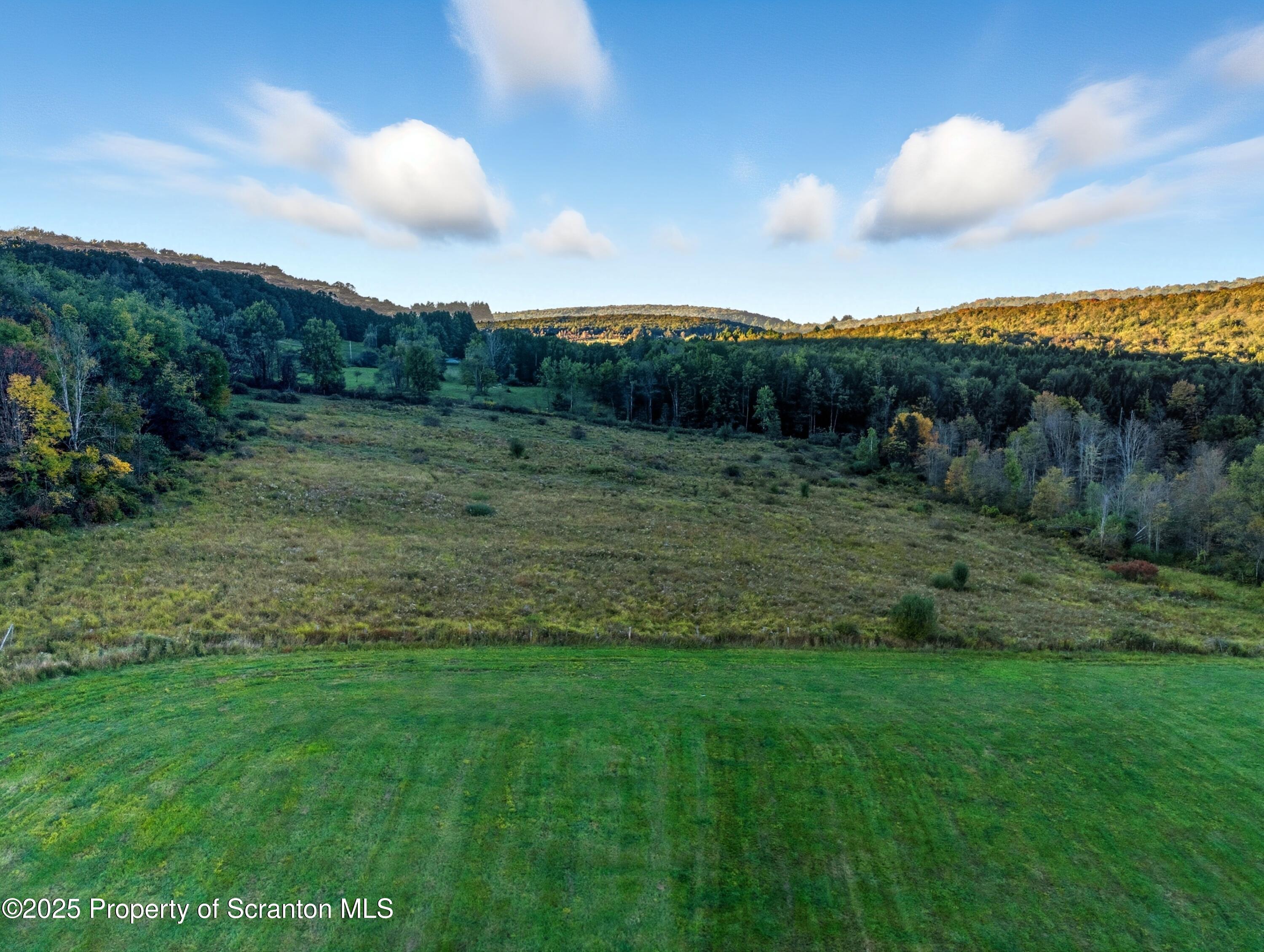 0 Harris Road Susquehanna, PA 18847 - Photo 17 of 21 DJI_20250919183133_0203_D