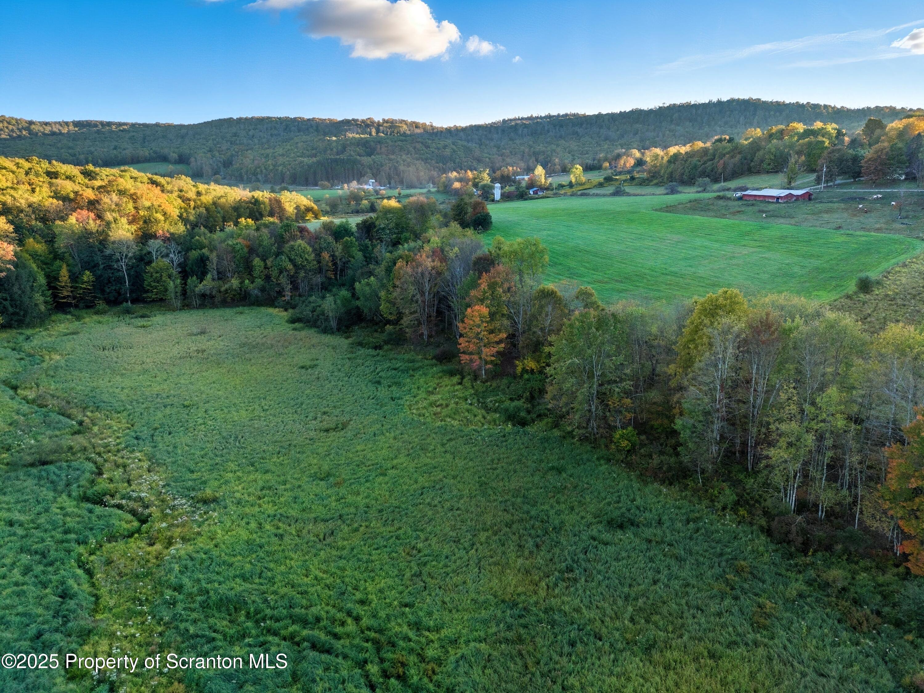0 Harris Road Susquehanna, PA 18847 - Photo 20 of 21 DJI_20250919183029_0183_D