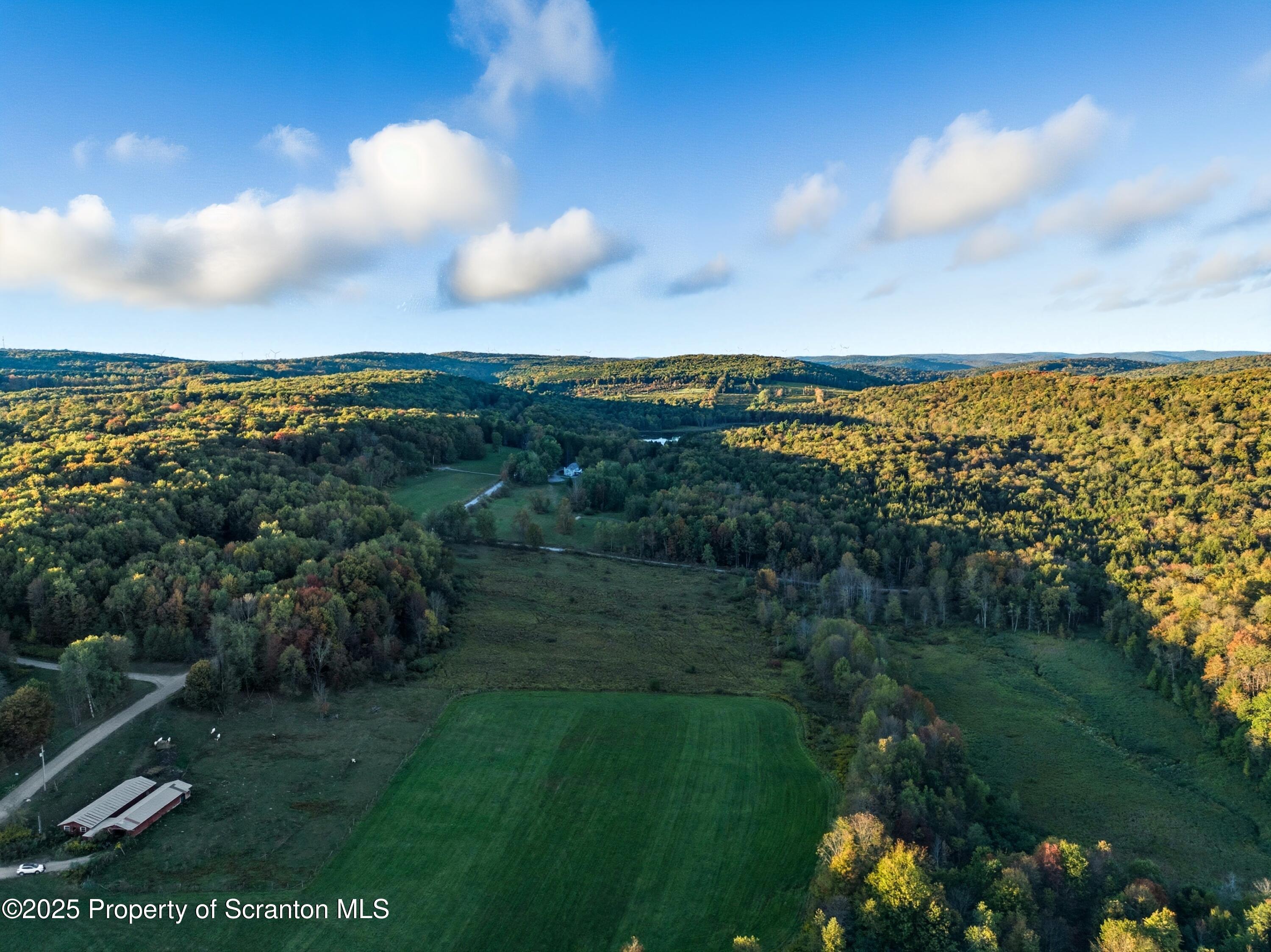 0 Harris Road Susquehanna, PA 18847 - Photo 2 of 21 DJI_20250919182622_0118_D