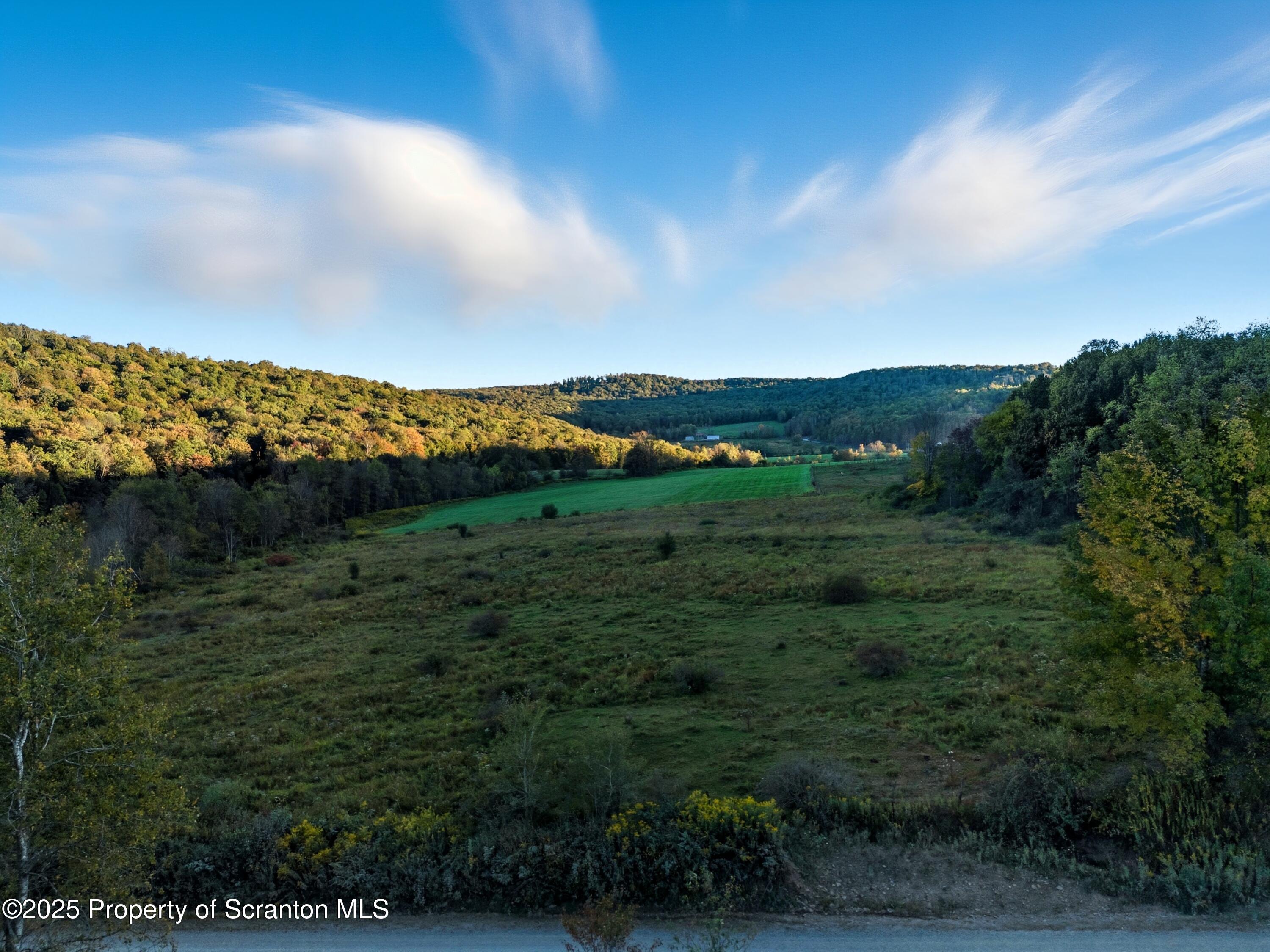 0 Harris Road Susquehanna, PA 18847 - Photo 21 of 21 DJI_20250919182951_0178_D