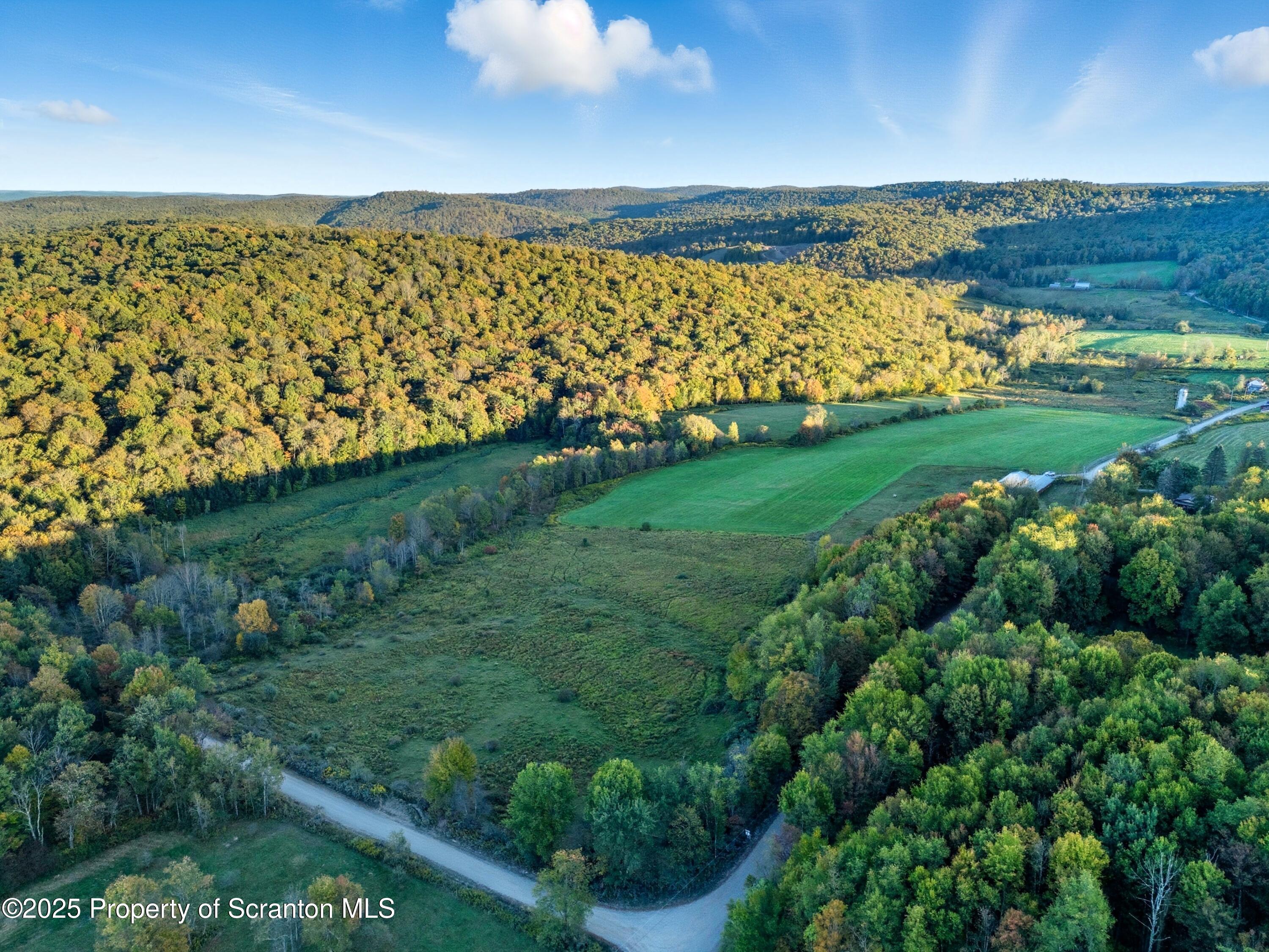 0 Harris Road Susquehanna, PA 18847 - Photo 4 of 21 DJI_20250919182243_0073_D
