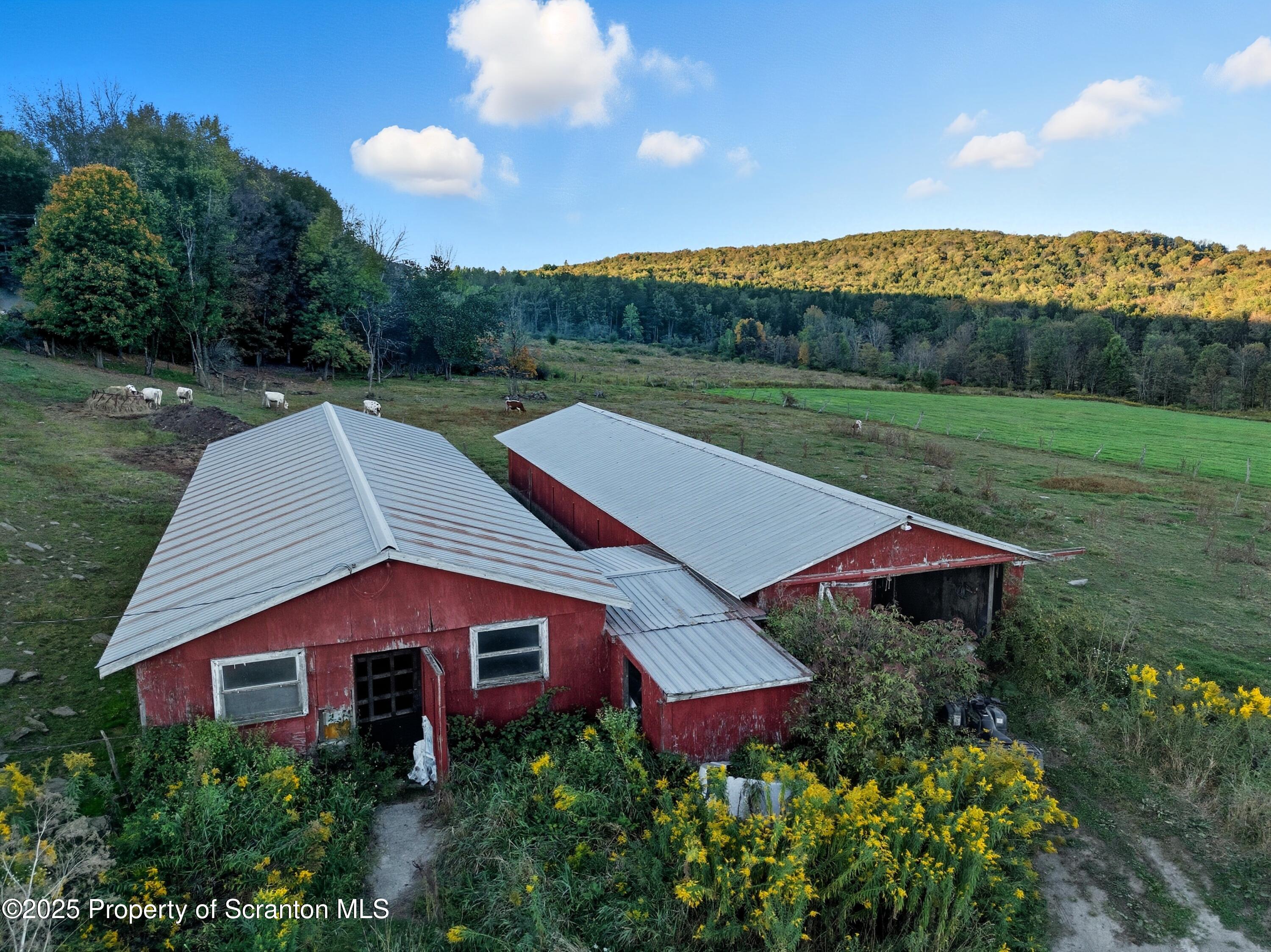 0 Harris Road Susquehanna, PA 18847 - Photo 5 of 21 DJI_20250919182724_0138_D