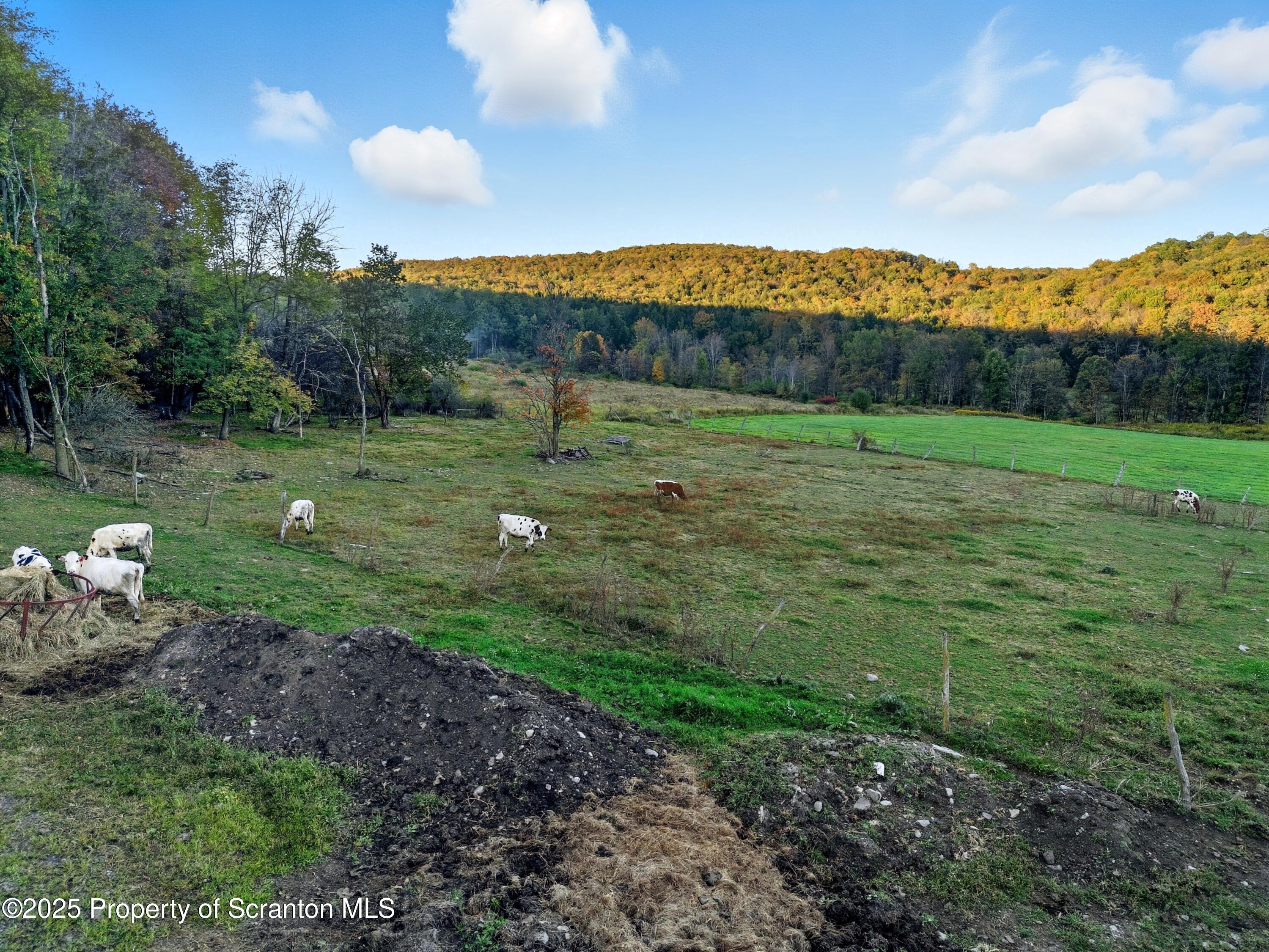 0 Harris Road Susquehanna, PA 18847 - Photo 7 of 21 DJI_20250919182746_0143_D