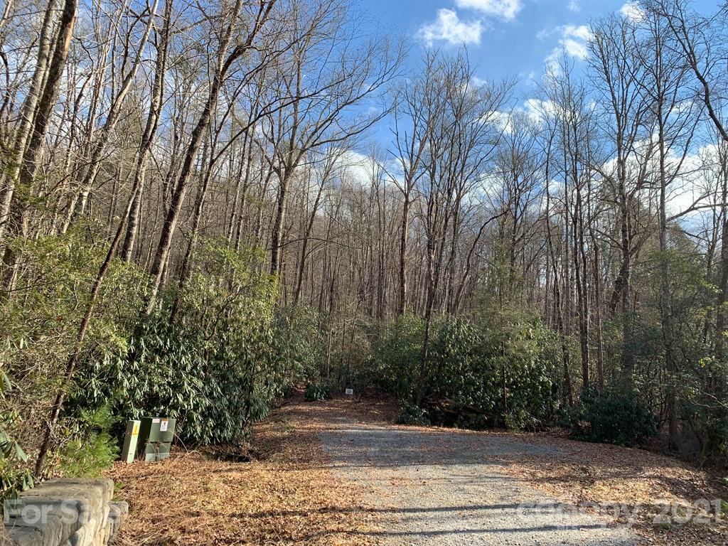 C Hunter's Ridge, Unit PARCEL C Brevard, NC 28712 - Photo 11 of 13 a view of a yard