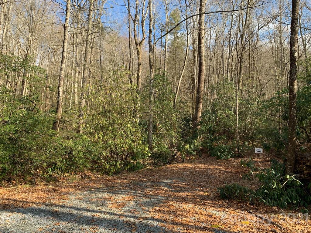 C Hunter's Ridge, Unit PARCEL C Brevard, NC 28712 - Photo 12 of 13 a view of a yard with plants and trees