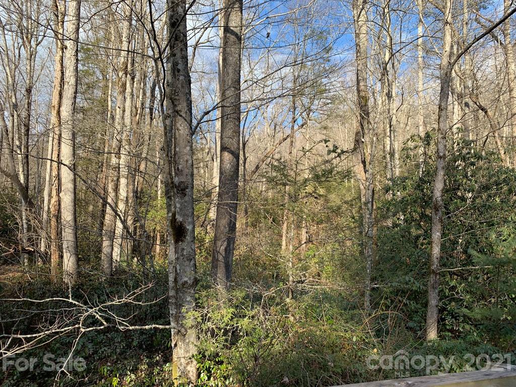 C Hunter's Ridge, Unit PARCEL C Brevard, NC 28712 - Photo 3 of 13