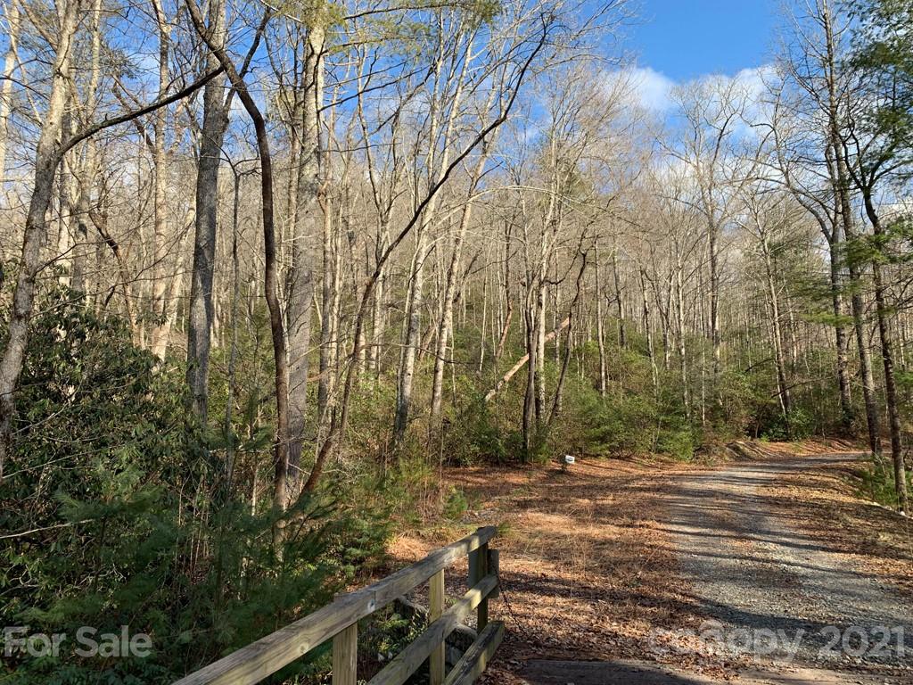 C Hunter's Ridge, Unit PARCEL C Brevard, NC 28712 - Photo 4 of 13 a view of backyard and trees